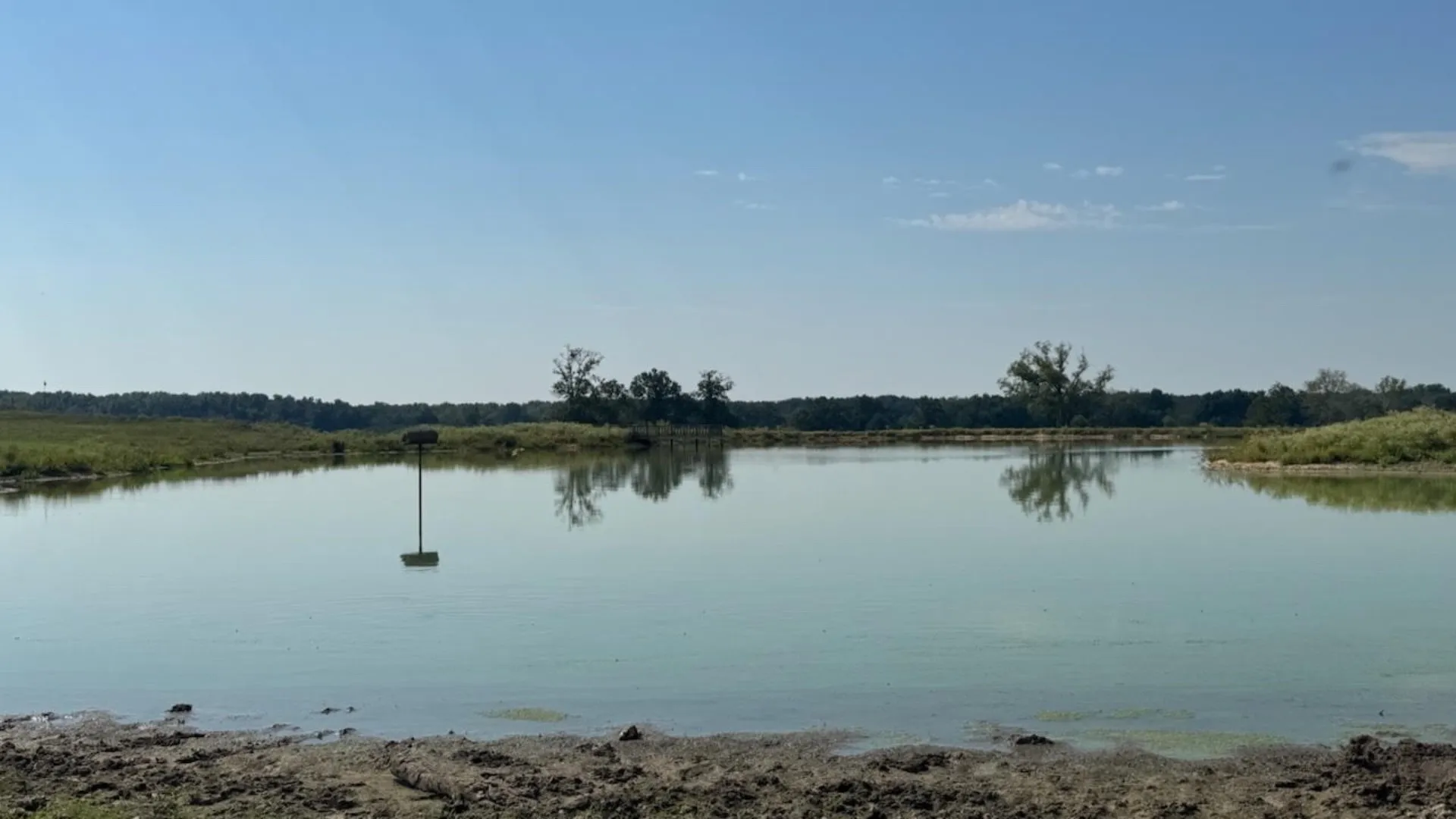 Farm For Sale in Franklin (TX) County , 768 County Road 2220, Talco, Texas 75487, 4 Bedroom, 3 Bathroom, 2 Garage spaces, 2,280 Sqft, built in 2012, mls#21068244, Real Estate Agent in Talco, Homes For Sale in Franklin (TX) county, Homes For Sale in Talco, Realtor in Talco Texas, Real Estate Brokerage Independent Realty Texas, Luminita Cordes Realtor