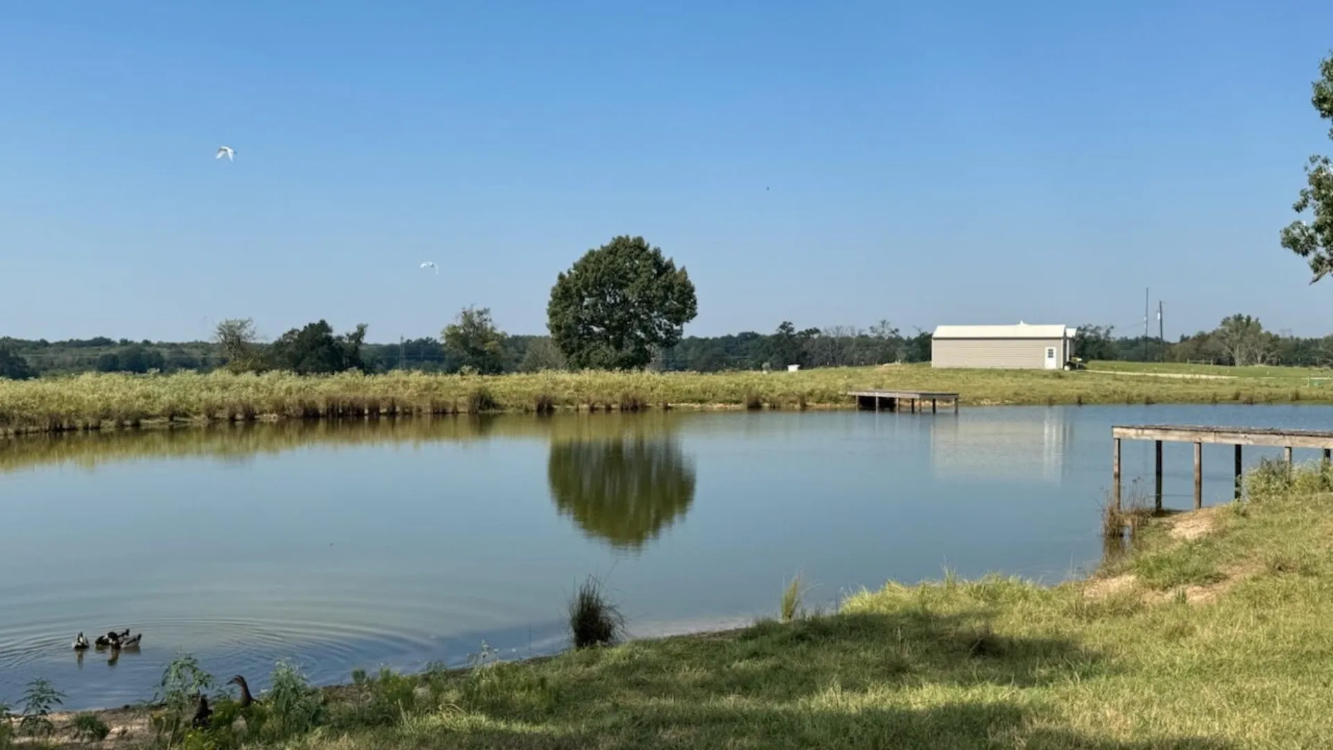 Farm For Sale in Franklin (TX) County , 768 County Road 2220, Talco, Texas 75487, 4 Bedroom, 3 Bathroom, 2 Garage spaces, 2,280 Sqft, built in 2012, mls#21068244, Real Estate Agent in Talco, Homes For Sale in Franklin (TX) county, Homes For Sale in Talco, Realtor in Talco Texas, Real Estate Brokerage Independent Realty Texas, Luminita Cordes Realtor