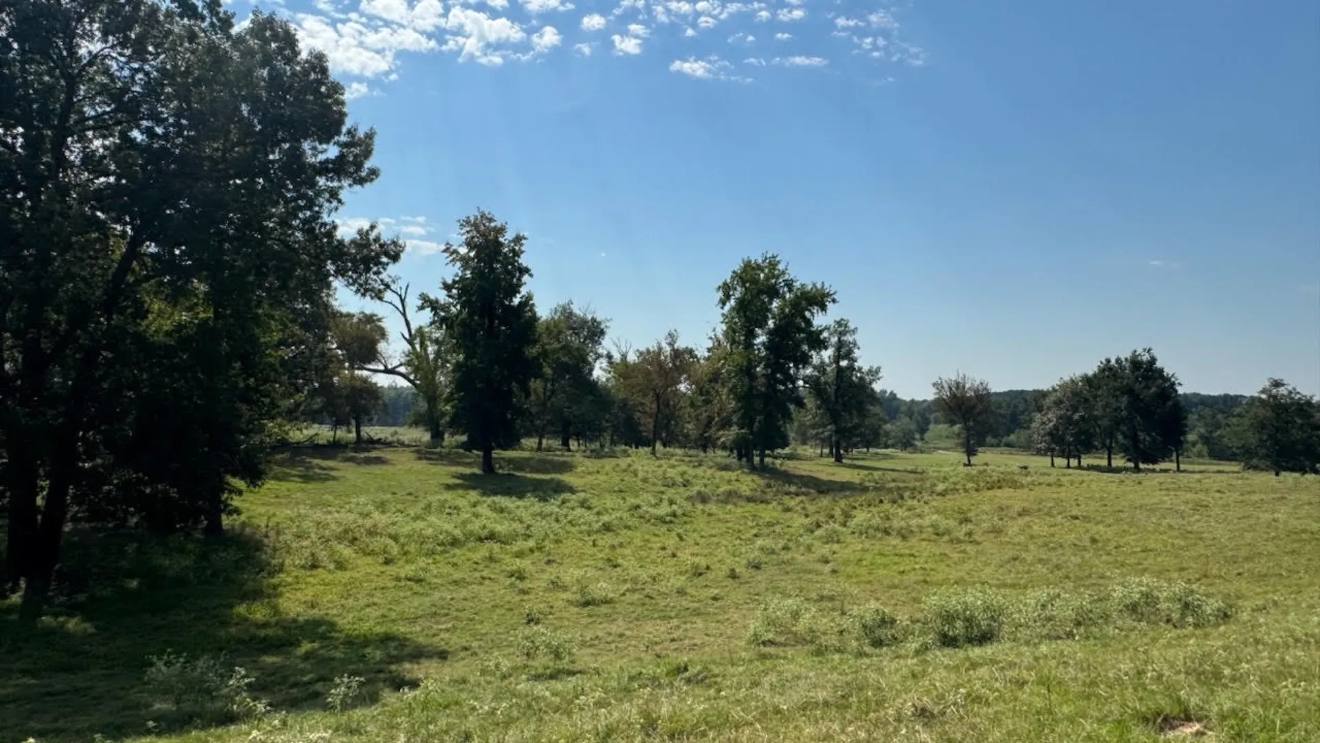 Farm For Sale in Franklin (TX) County , 768 County Road 2220, Talco, Texas 75487, 4 Bedroom, 3 Bathroom, 2 Garage spaces, 2,280 Sqft, built in 2012, mls#21068244, Real Estate Agent in Talco, Homes For Sale in Franklin (TX) county, Homes For Sale in Talco, Realtor in Talco Texas, Real Estate Brokerage Independent Realty Texas, Luminita Cordes Realtor