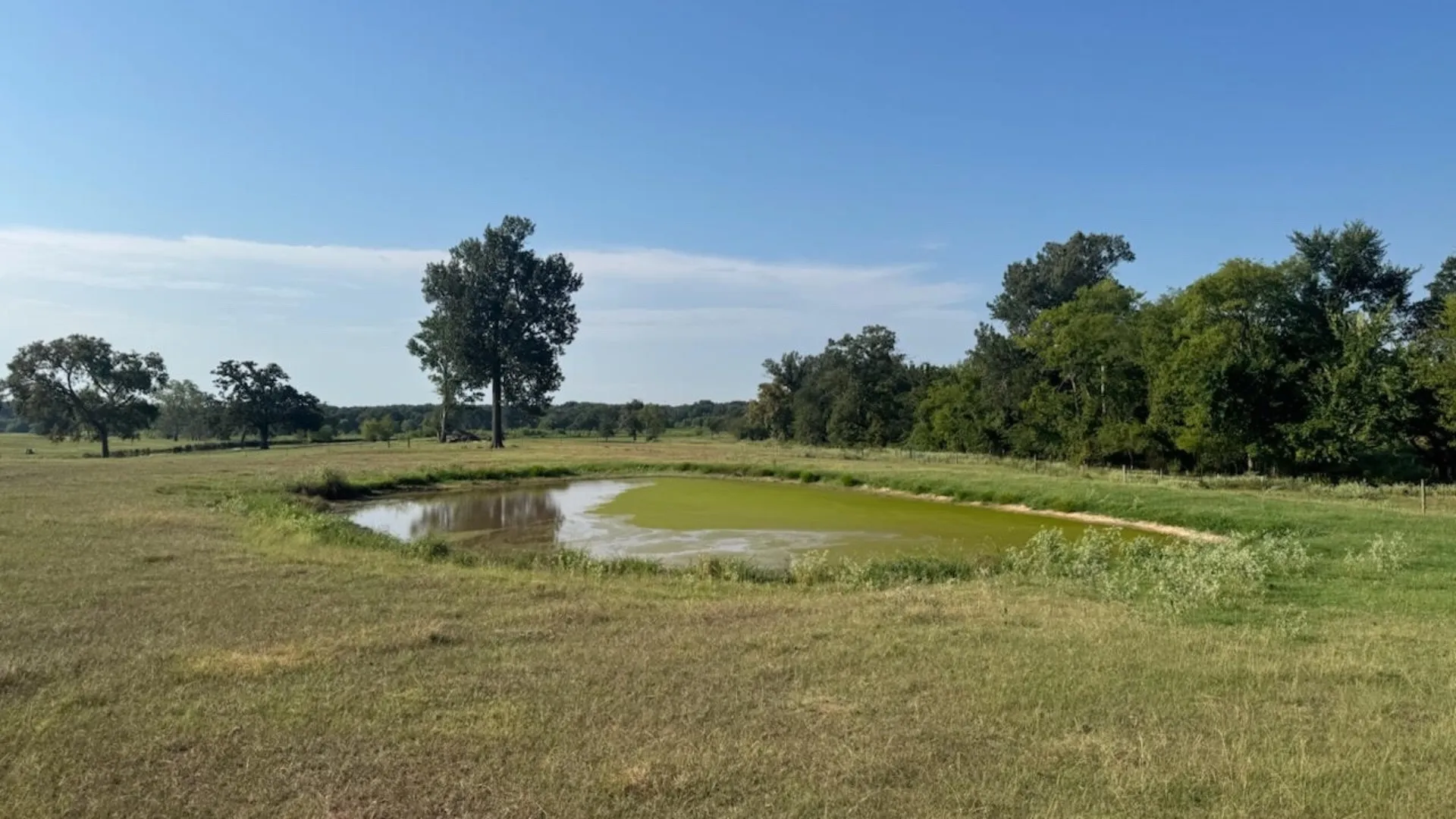 Farm For Sale in Franklin (TX) County , 768 County Road 2220, Talco, Texas 75487, 4 Bedroom, 3 Bathroom, 2 Garage spaces, 2,280 Sqft, built in 2012, mls#21068244, Real Estate Agent in Talco, Homes For Sale in Franklin (TX) county, Homes For Sale in Talco, Realtor in Talco Texas, Real Estate Brokerage Independent Realty Texas, Luminita Cordes Realtor