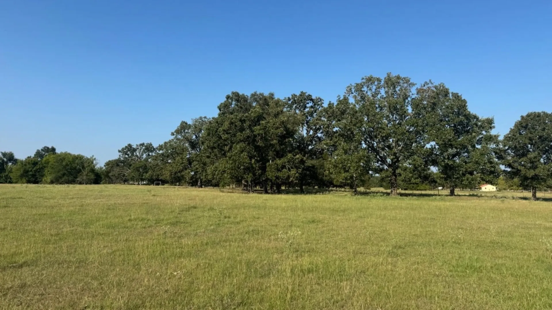 Farm For Sale in Franklin (TX) County , 768 County Road 2220, Talco, Texas 75487, 4 Bedroom, 3 Bathroom, 2 Garage spaces, 2,280 Sqft, built in 2012, mls#21068244, Real Estate Agent in Talco, Homes For Sale in Franklin (TX) county, Homes For Sale in Talco, Realtor in Talco Texas, Real Estate Brokerage Independent Realty Texas, Luminita Cordes Realtor