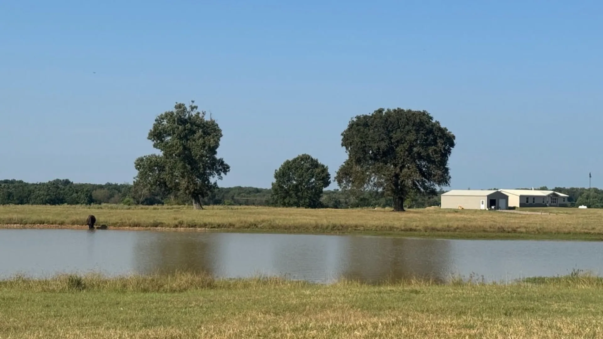 Farm For Sale in Franklin (TX) County , 768 County Road 2220, Talco, Texas 75487, 4 Bedroom, 3 Bathroom, 2 Garage spaces, 2,280 Sqft, built in 2012, mls#21068244, Real Estate Agent in Talco, Homes For Sale in Franklin (TX) county, Homes For Sale in Talco, Realtor in Talco Texas, Real Estate Brokerage Independent Realty Texas, Luminita Cordes Realtor
