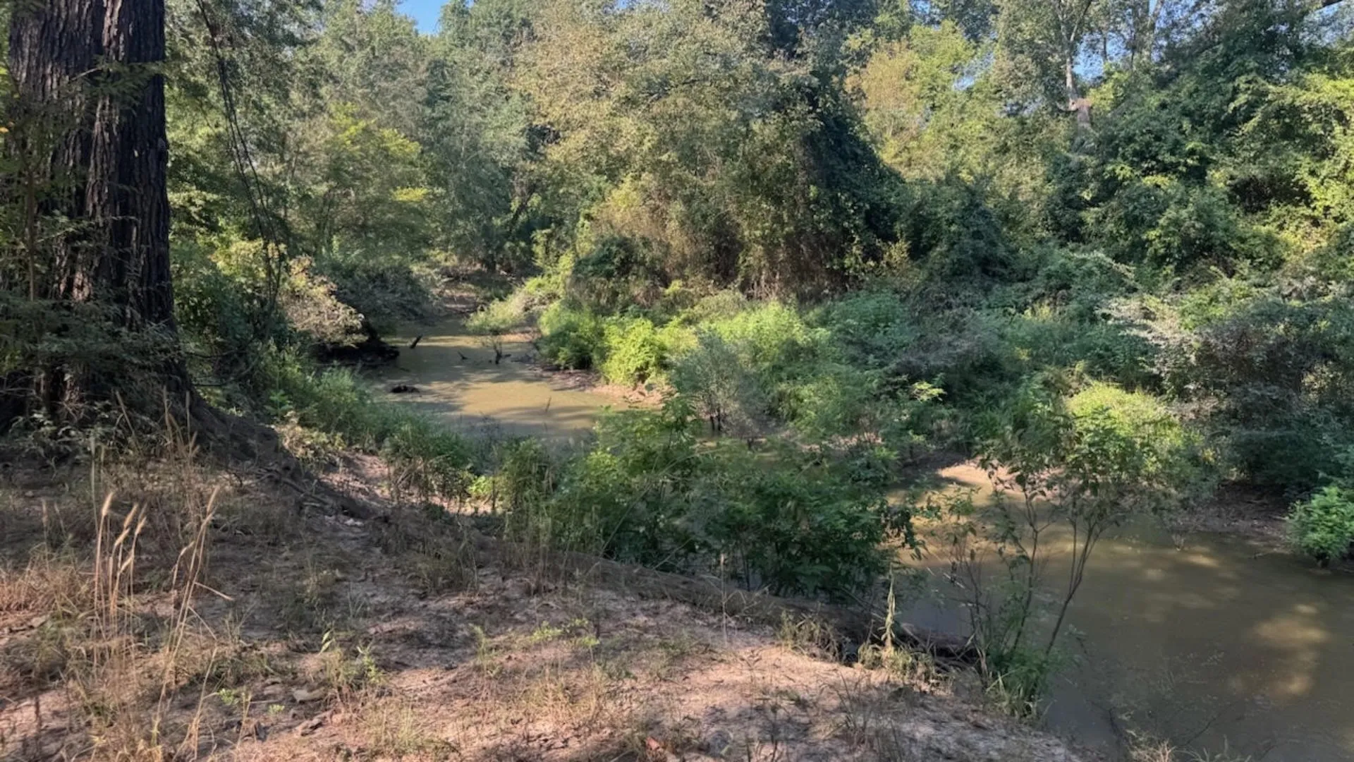 Farm For Sale in Franklin (TX) County , 768 County Road 2220, Talco, Texas 75487, 4 Bedroom, 3 Bathroom, 2 Garage spaces, 2,280 Sqft, built in 2012, mls#21068244, Real Estate Agent in Talco, Homes For Sale in Franklin (TX) county, Homes For Sale in Talco, Realtor in Talco Texas, Real Estate Brokerage Independent Realty Texas, Luminita Cordes Realtor