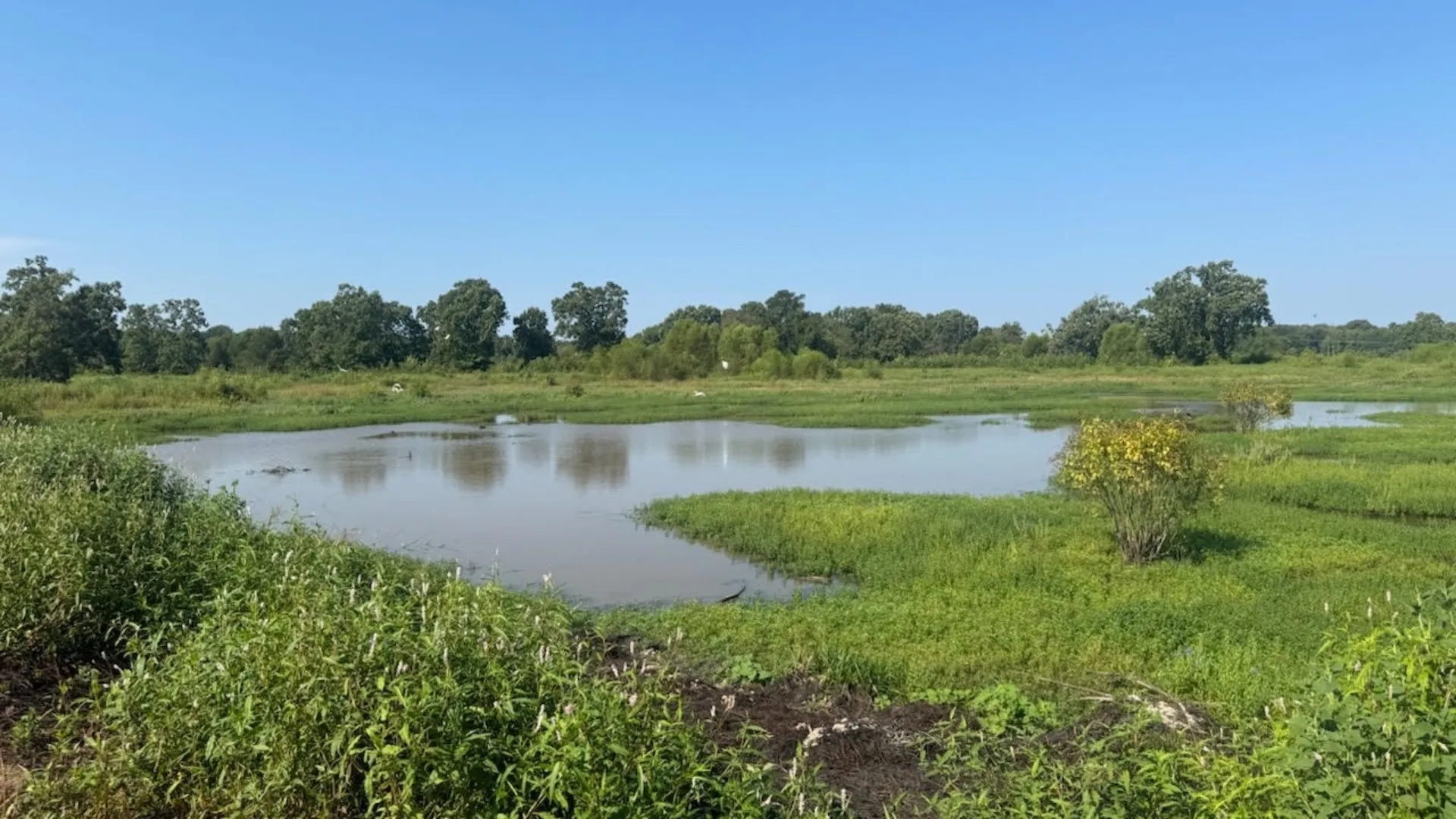Farm For Sale in Franklin (TX) County , 768 County Road 2220, Talco, Texas 75487, 4 Bedroom, 3 Bathroom, 2 Garage spaces, 2,280 Sqft, built in 2012, mls#21068244, Real Estate Agent in Talco, Homes For Sale in Franklin (TX) county, Homes For Sale in Talco, Realtor in Talco Texas, Real Estate Brokerage Independent Realty Texas, Luminita Cordes Realtor