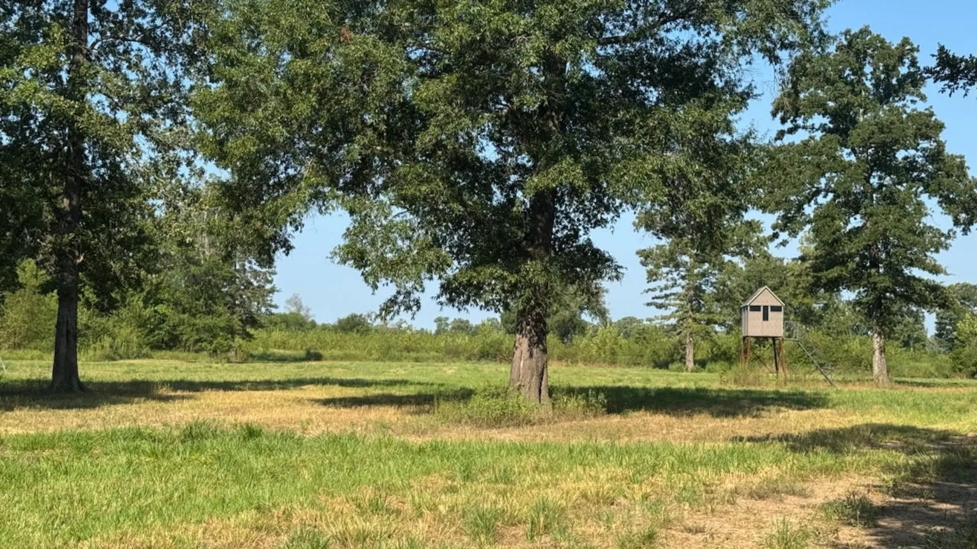Farm For Sale in Franklin (TX) County , 768 County Road 2220, Talco, Texas 75487, 4 Bedroom, 3 Bathroom, 2 Garage spaces, 2,280 Sqft, built in 2012, mls#21068244, Real Estate Agent in Talco, Homes For Sale in Franklin (TX) county, Homes For Sale in Talco, Realtor in Talco Texas, Real Estate Brokerage Independent Realty Texas, Luminita Cordes Realtor