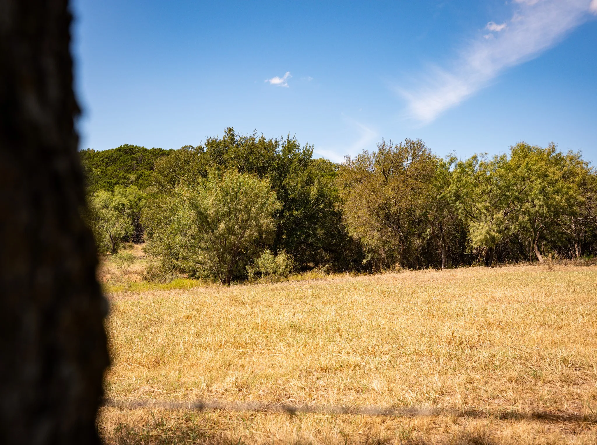 Unimproved Land For Sale in Palo Pinto County , Lot 165 Pleasant Valley Road, Mineral Wells, Texas 76067, 0, 0, Garage spaces, 0 Sqft, built in 0, mls#21067376, Real Estate Agent in Mineral Wells, Homes For Sale in Palo Pinto county, Homes For Sale in Mineral Wells, Realtor in Mineral Wells Texas, Real Estate Brokerage Independent Realty Texas, Luminita Cordes Realtor