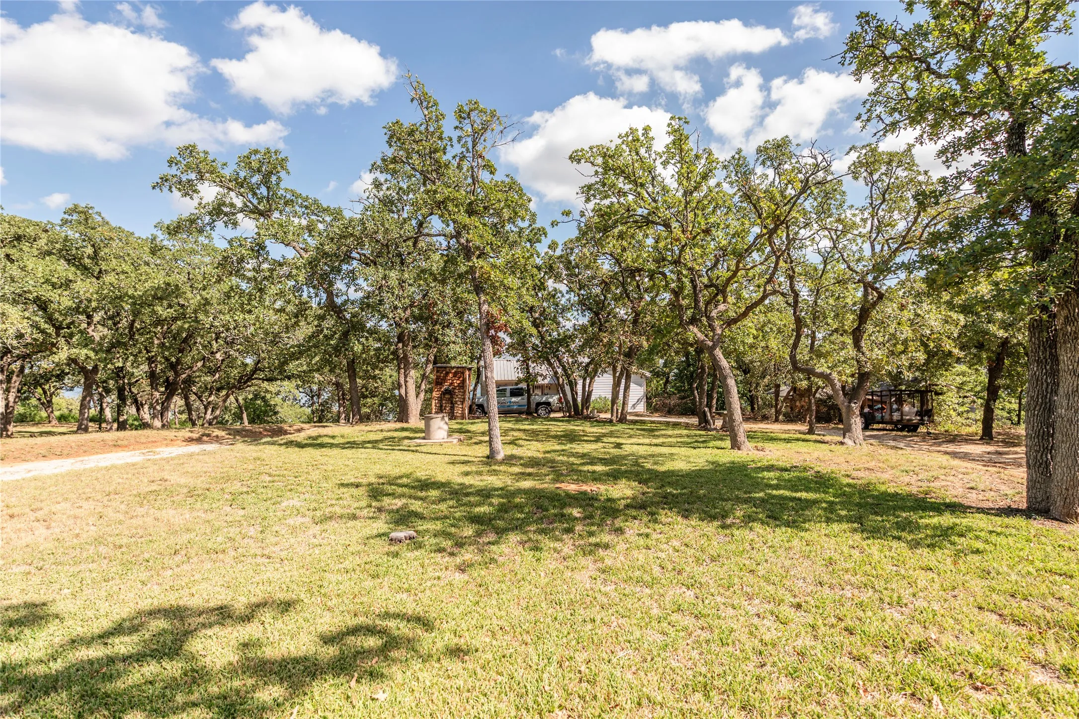 View of grassy yard with view of scattered trees