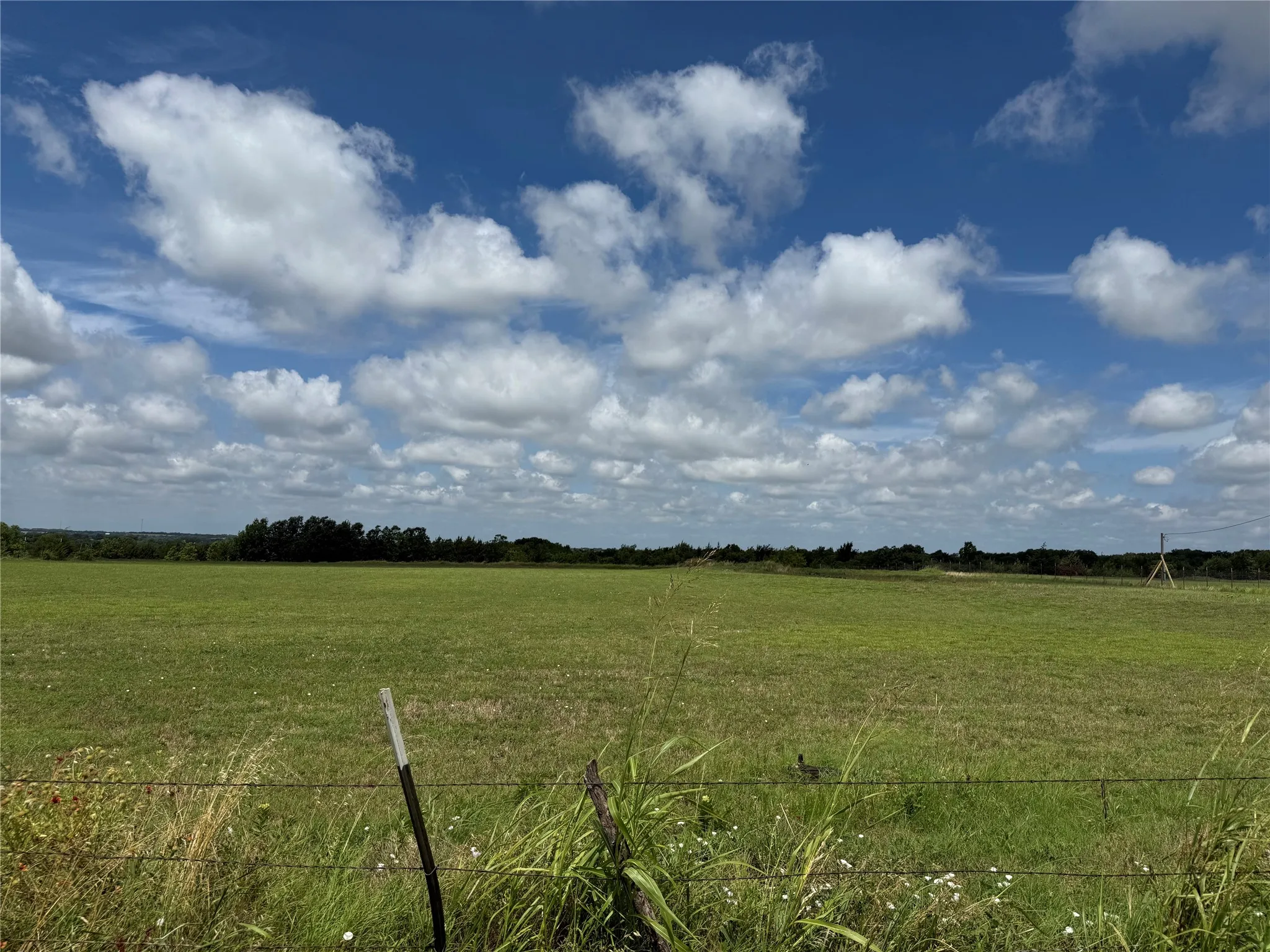 View of local wilderness featuring rural landscape