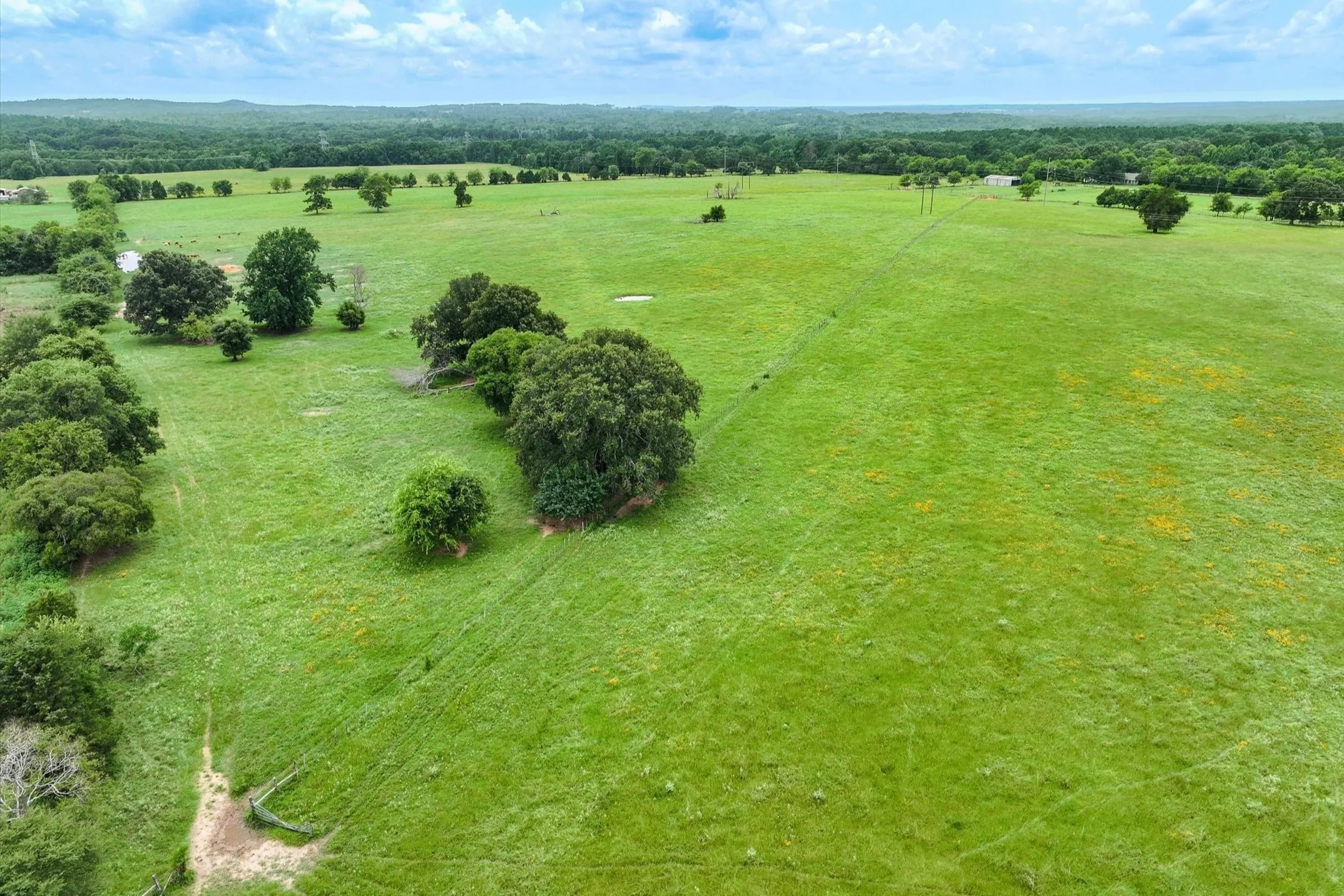 Unimproved Land For Sale in Cherokee County , Tract 4 FM 855, Jacksonville, Texas 75766, 0, 0, Garage spaces, 0 Sqft, built in 0, mls#21061911, Real Estate Agent in Jacksonville, Homes For Sale in Cherokee county, Homes For Sale in Jacksonville, Realtor in Jacksonville Texas, Real Estate Brokerage Independent Realty Texas, Luminita Cordes Realtor