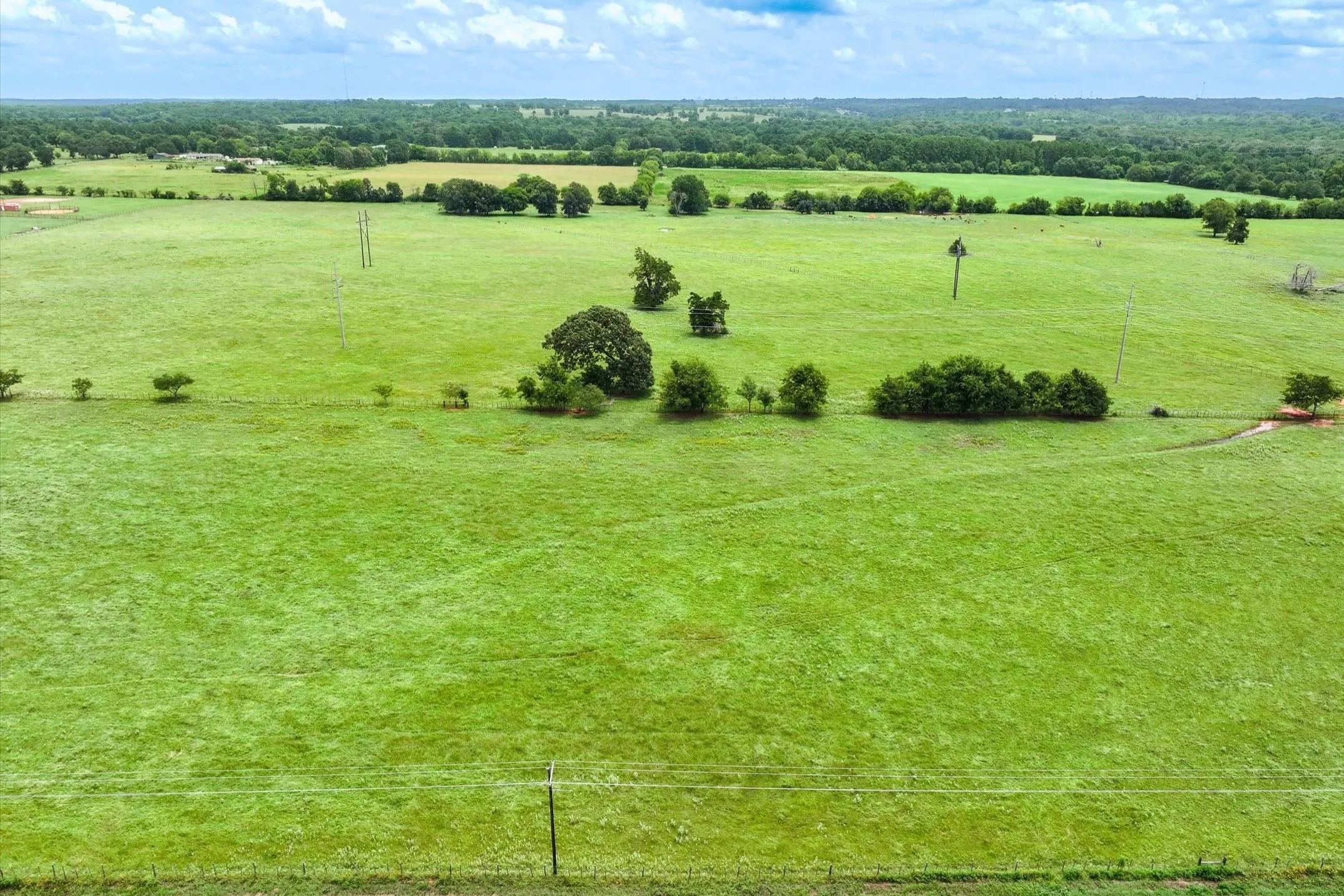 Unimproved Land For Sale in Cherokee County , Tract 4 FM 855, Jacksonville, Texas 75766, 0, 0, Garage spaces, 0 Sqft, built in 0, mls#21061911, Real Estate Agent in Jacksonville, Homes For Sale in Cherokee county, Homes For Sale in Jacksonville, Realtor in Jacksonville Texas, Real Estate Brokerage Independent Realty Texas, Luminita Cordes Realtor