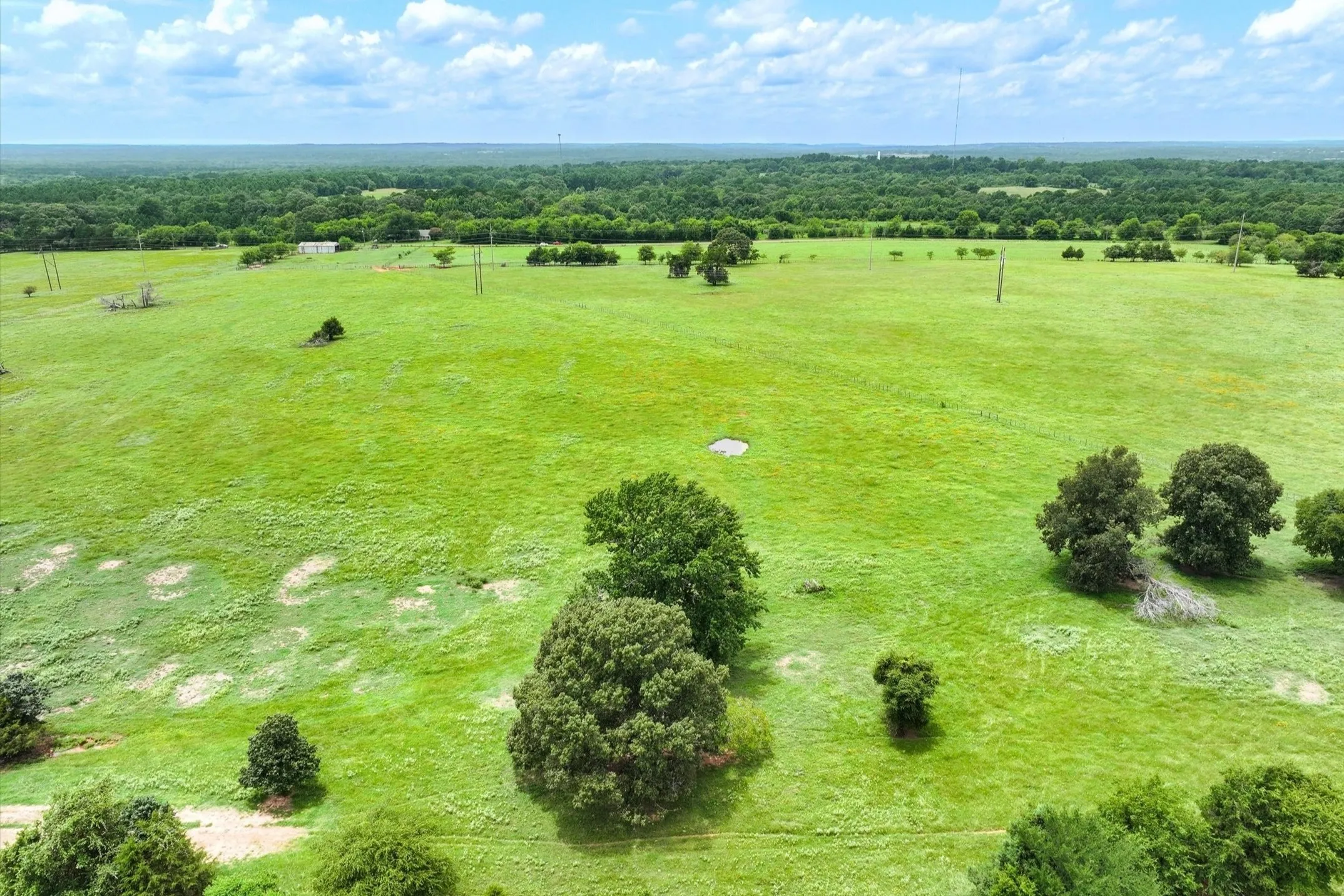 Unimproved Land For Sale in Cherokee County , Tract 4 FM 855, Jacksonville, Texas 75766, 0, 0, Garage spaces, 0 Sqft, built in 0, mls#21061911, Real Estate Agent in Jacksonville, Homes For Sale in Cherokee county, Homes For Sale in Jacksonville, Realtor in Jacksonville Texas, Real Estate Brokerage Independent Realty Texas, Luminita Cordes Realtor