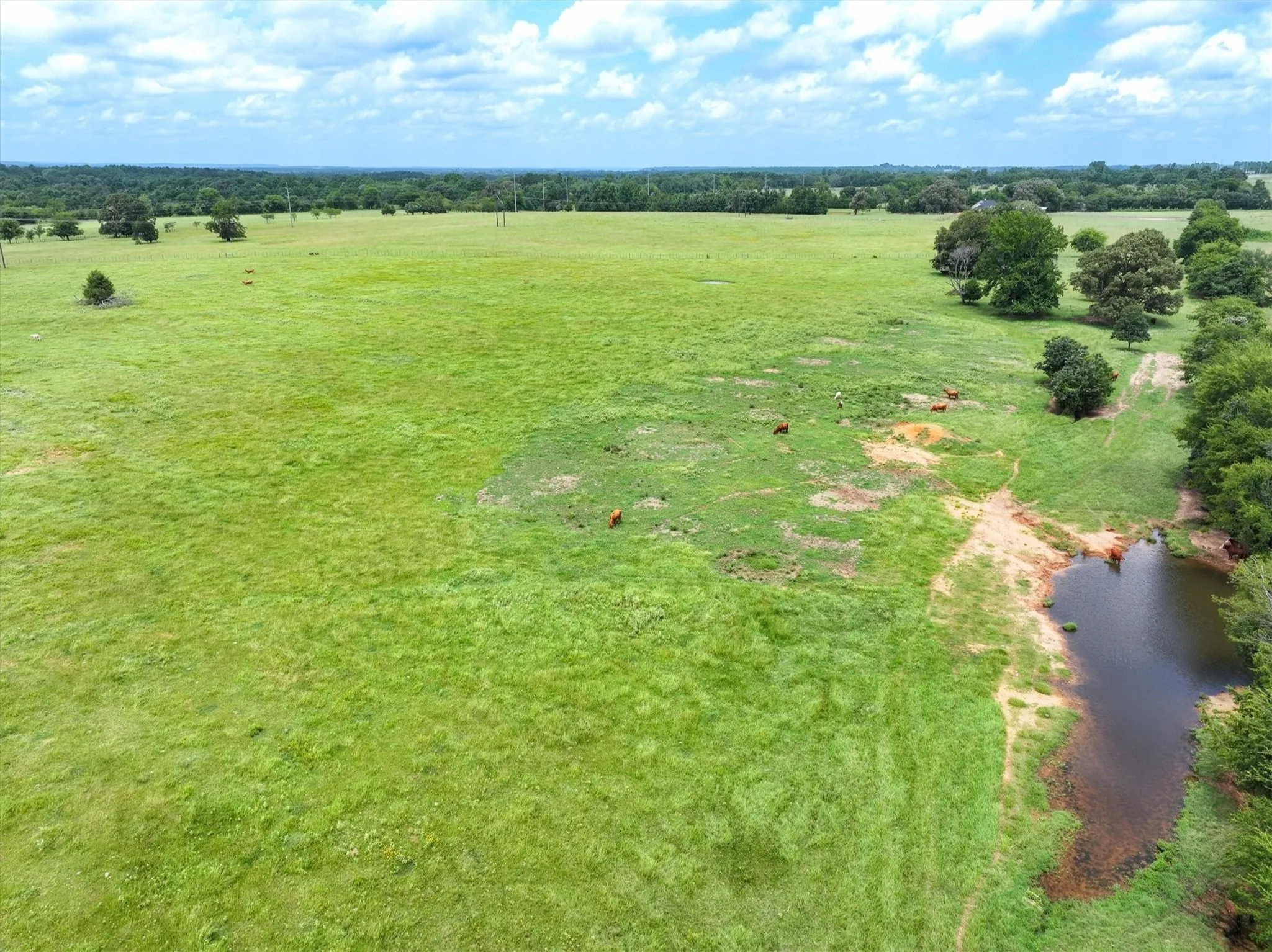 Unimproved Land For Sale in Cherokee County , Tract 5 FM 855, Jacksonville, Texas 75766, 0, 0, Garage spaces, 0 Sqft, built in 0, Price $250,000, mls#21061917, Real Estate Agent in Jacksonville, Homes For Sale in Cherokee county, Homes For Sale in Jacksonville, Realtor in Jacksonville Texas, Real Estate Brokerage Independent Realty Texas, Luminita Cordes Realtor