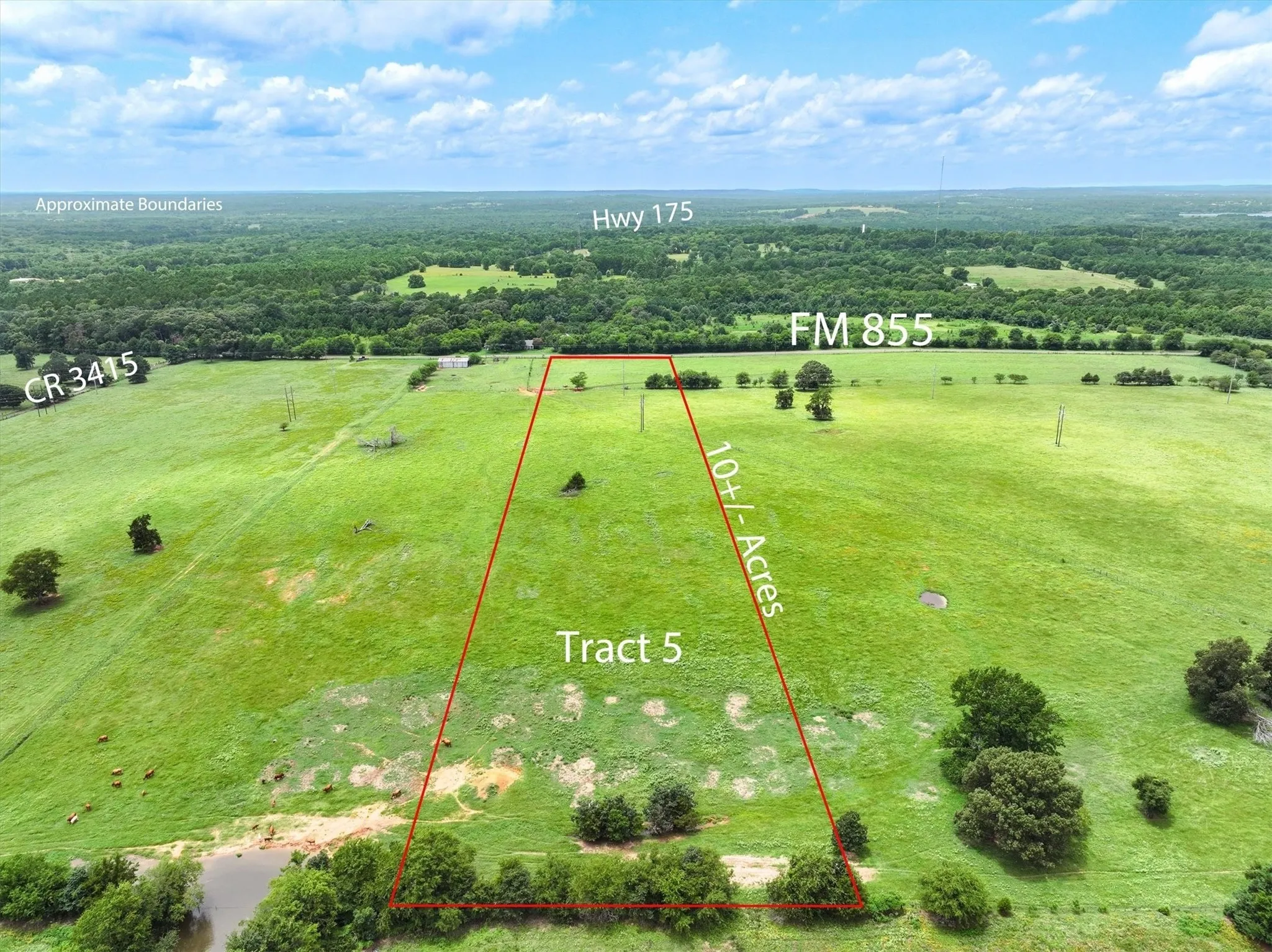Unimproved Land For Sale in Cherokee County , Tract 5 FM 855, Jacksonville, Texas 75766, 0, 0, Garage spaces, 0 Sqft, built in 0, Price $250,000, mls#21061917, Real Estate Agent in Jacksonville, Homes For Sale in Cherokee county, Homes For Sale in Jacksonville, Realtor in Jacksonville Texas, Real Estate Brokerage Independent Realty Texas, Luminita Cordes Realtor