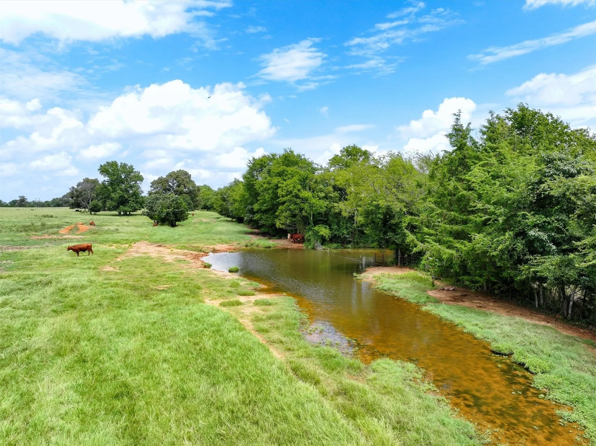 Unimproved Land For Sale in Cherokee County , Tract 5 FM 855, Jacksonville, Texas 75766, 0, 0, Garage spaces, 0 Sqft, built in 0, Price $250,000, mls#21061917, Real Estate Agent in Jacksonville, Homes For Sale in Cherokee county, Homes For Sale in Jacksonville, Realtor in Jacksonville Texas, Real Estate Brokerage Independent Realty Texas, Luminita Cordes Realtor