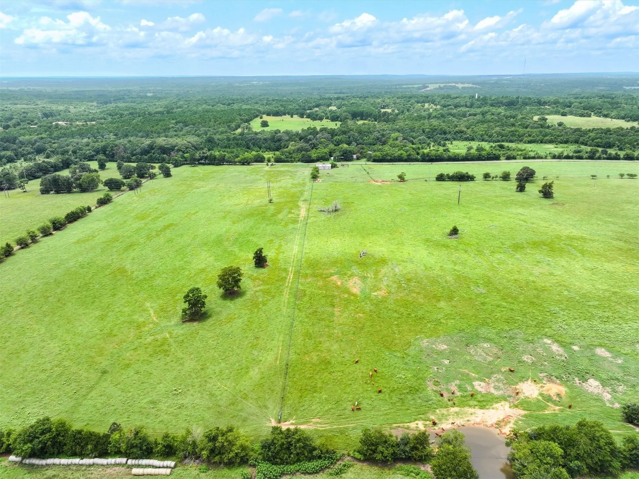 Unimproved Land For Sale in Cherokee County , Tract 5 FM 855, Jacksonville, Texas 75766, 0, 0, Garage spaces, 0 Sqft, built in 0, Price $250,000, mls#21061917, Real Estate Agent in Jacksonville, Homes For Sale in Cherokee county, Homes For Sale in Jacksonville, Realtor in Jacksonville Texas, Real Estate Brokerage Independent Realty Texas, Luminita Cordes Realtor