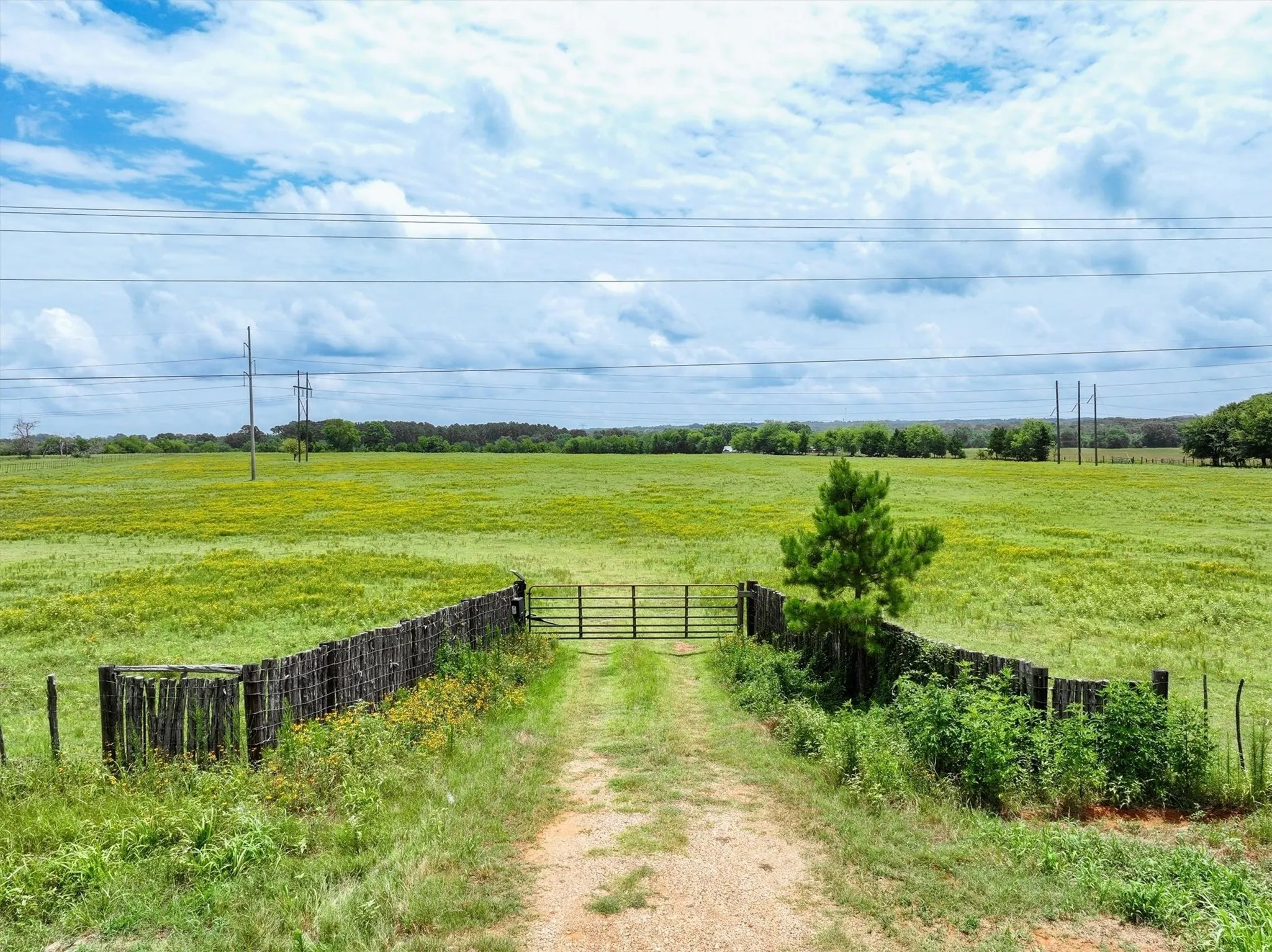 Unimproved Land For Sale in Cherokee County , Tract 7 FM 855, Jacksonville, Texas 75766, 0, 0, Garage spaces, 0 Sqft, built in 0, mls#21061954, Real Estate Agent in Jacksonville, Homes For Sale in Cherokee county, Homes For Sale in Jacksonville, Realtor in Jacksonville Texas, Real Estate Brokerage Independent Realty Texas, Luminita Cordes Realtor