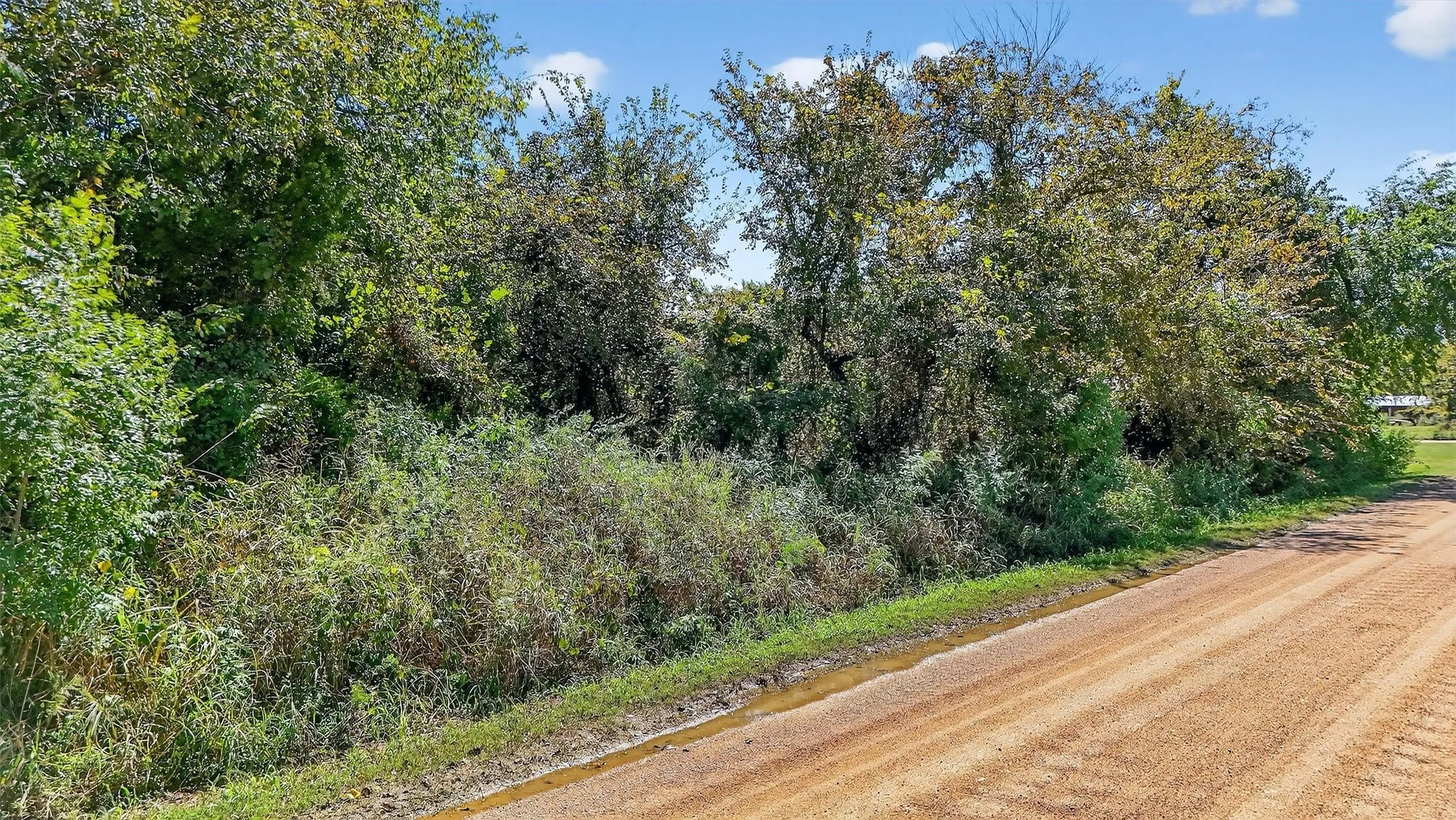Unimproved Land For Sale in Grayson County , TBD Old Sadler Road, Sadler, Texas 76264, 0, 0, Garage spaces, 0 Sqft, built in 0, mls#21066427, Real Estate Agent in Sadler, Homes For Sale in Grayson county, Homes For Sale in Sadler, Realtor in Sadler Texas, Real Estate Brokerage Independent Realty Texas, Luminita Cordes Realtor