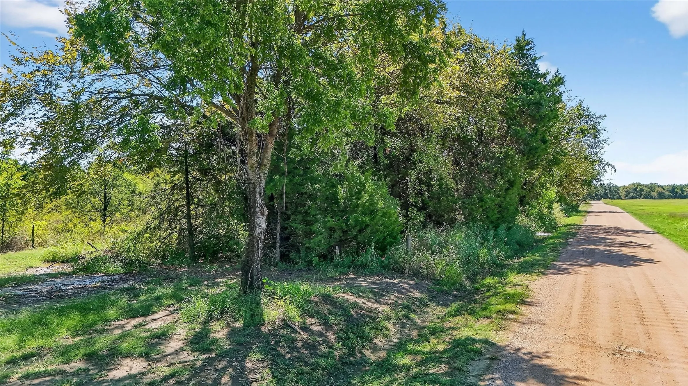 Unimproved Land For Sale in Grayson County , TBD Old Sadler Road, Sadler, Texas 76264, 0, 0, Garage spaces, 0 Sqft, built in 0, mls#21066427, Real Estate Agent in Sadler, Homes For Sale in Grayson county, Homes For Sale in Sadler, Realtor in Sadler Texas, Real Estate Brokerage Independent Realty Texas, Luminita Cordes Realtor