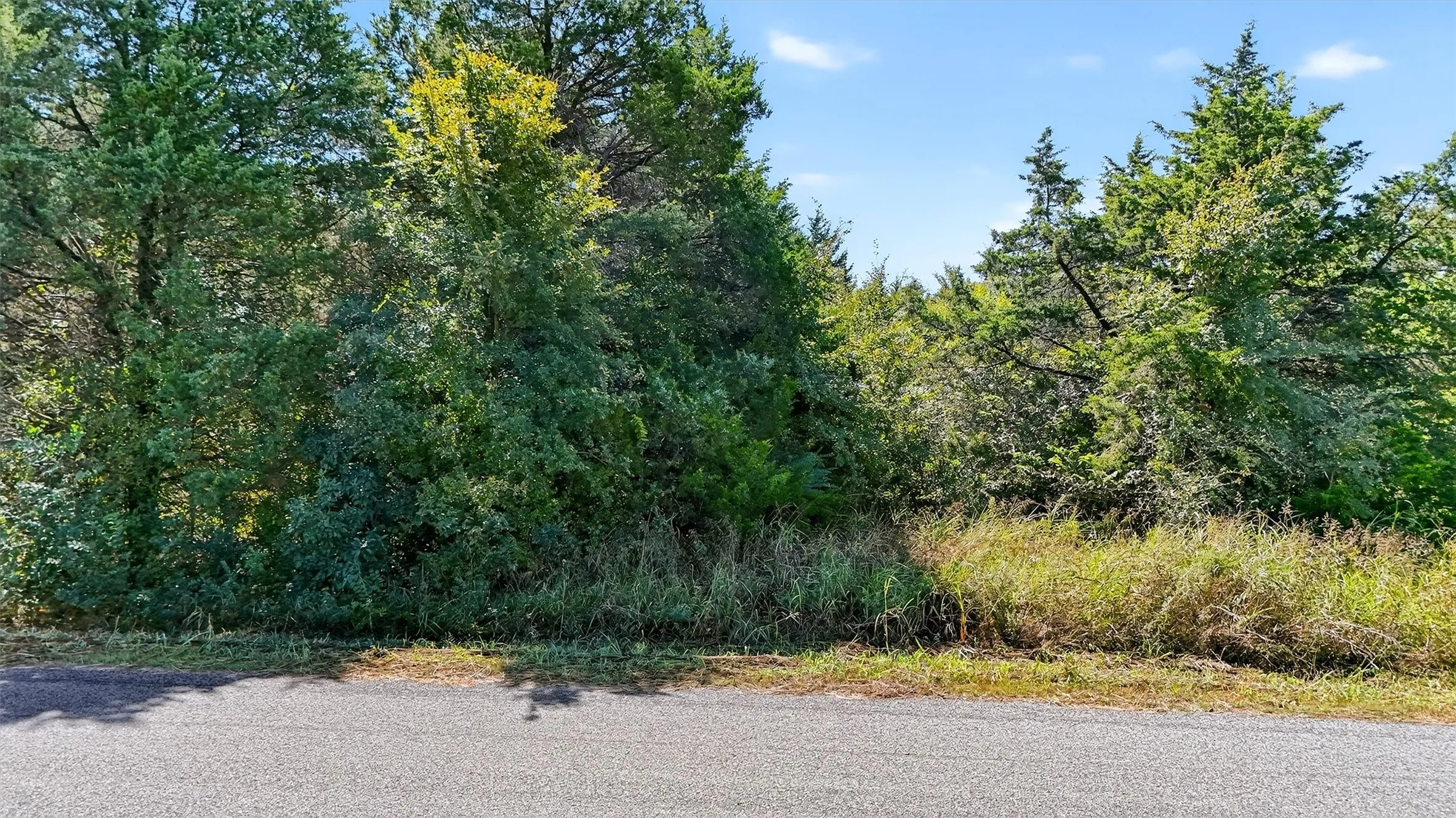 Unimproved Land For Sale in Grayson County , TBD Old Sadler Road, Sadler, Texas 76264, 0, 0, Garage spaces, 0 Sqft, built in 0, mls#21066427, Real Estate Agent in Sadler, Homes For Sale in Grayson county, Homes For Sale in Sadler, Realtor in Sadler Texas, Real Estate Brokerage Independent Realty Texas, Luminita Cordes Realtor