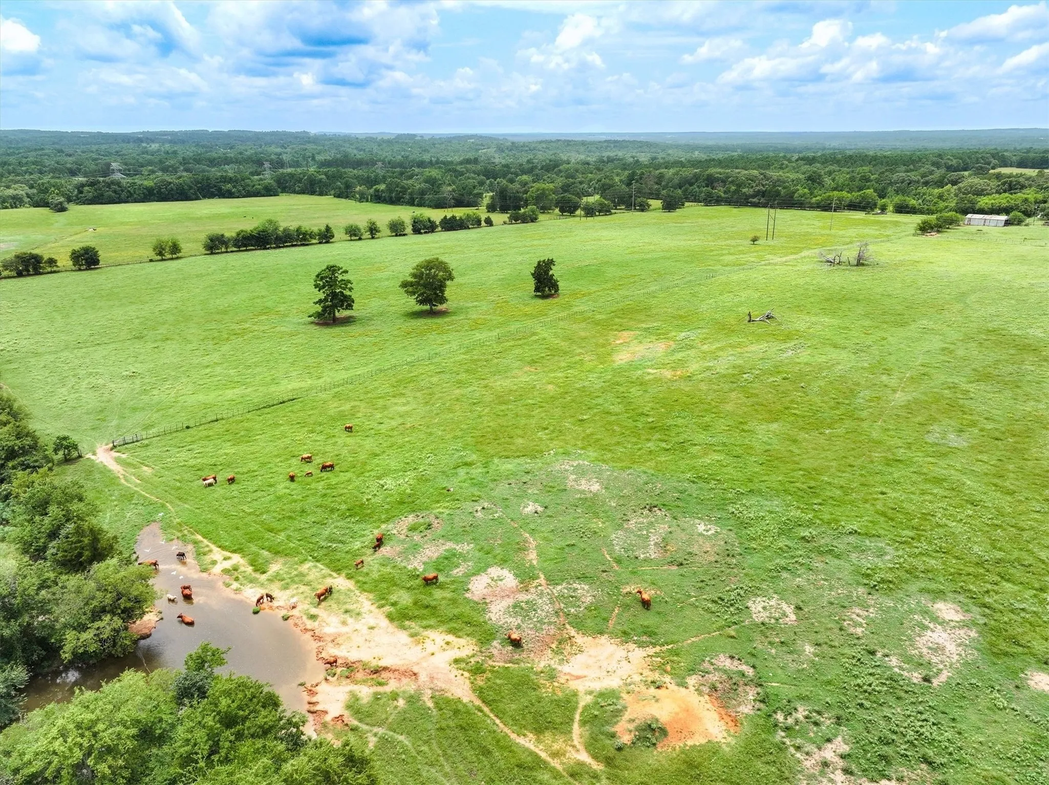 Unimproved Land For Sale in Cherokee County , Tract 6 FM 855, Jacksonville, Texas 75766, 0, 0, Garage spaces, 0 Sqft, built in 0, mls#21061940, Real Estate Agent in Jacksonville, Homes For Sale in Cherokee county, Homes For Sale in Jacksonville, Realtor in Jacksonville Texas, Real Estate Brokerage Independent Realty Texas, Luminita Cordes Realtor