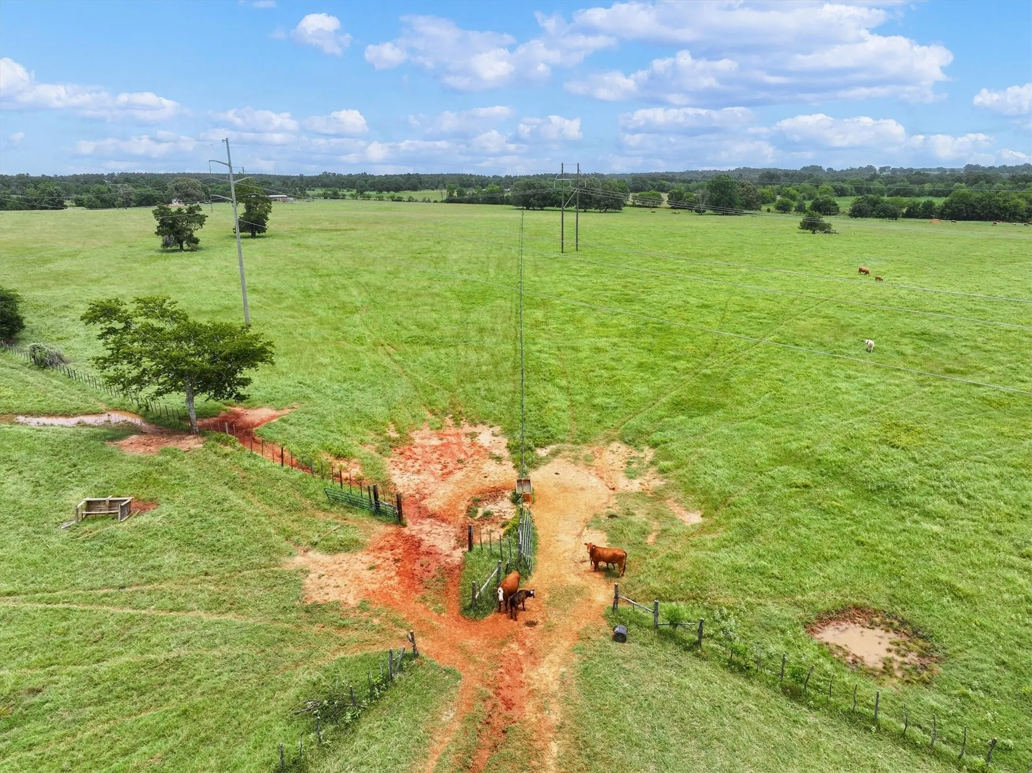Unimproved Land For Sale in Cherokee County , Tract 6 FM 855, Jacksonville, Texas 75766, 0, 0, Garage spaces, 0 Sqft, built in 0, mls#21061940, Real Estate Agent in Jacksonville, Homes For Sale in Cherokee county, Homes For Sale in Jacksonville, Realtor in Jacksonville Texas, Real Estate Brokerage Independent Realty Texas, Luminita Cordes Realtor
