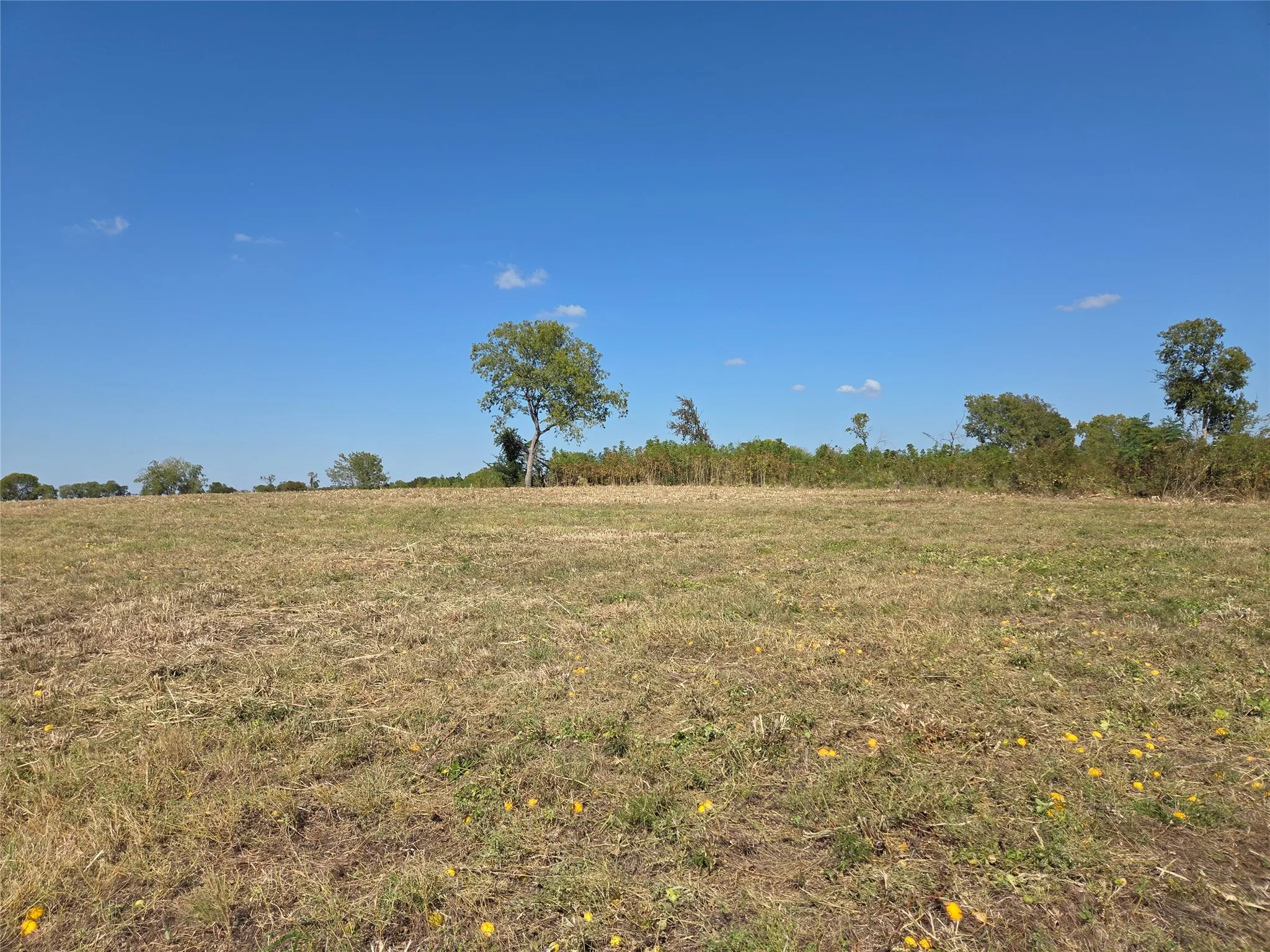Unimproved Land For Sale in Navarro County , Lot 7 with BS #15 Vista Pointe Drive, Kerens, Texas 75109, 0, 0, Garage spaces, 0 Sqft, built in 0, mls#21068967, Real Estate Agent in Kerens, Homes For Sale in Navarro county, Homes For Sale in Kerens, Realtor in Kerens Texas, Real Estate Brokerage Independent Realty Texas, Luminita Cordes Realtor