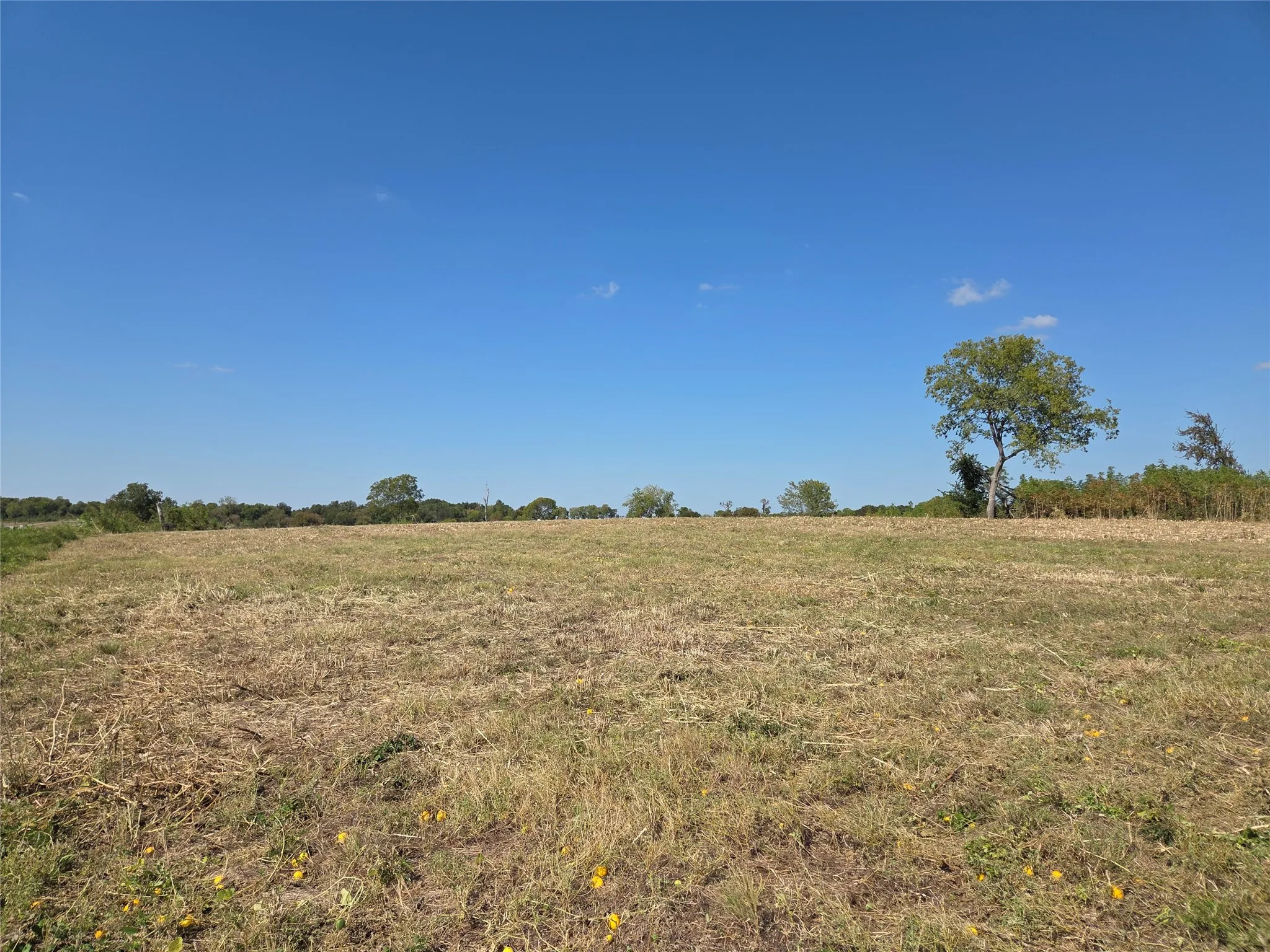Unimproved Land For Sale in Navarro County , Lot 7 with BS #15 Vista Pointe Drive, Kerens, Texas 75109, 0, 0, Garage spaces, 0 Sqft, built in 0, mls#21068967, Real Estate Agent in Kerens, Homes For Sale in Navarro county, Homes For Sale in Kerens, Realtor in Kerens Texas, Real Estate Brokerage Independent Realty Texas, Luminita Cordes Realtor