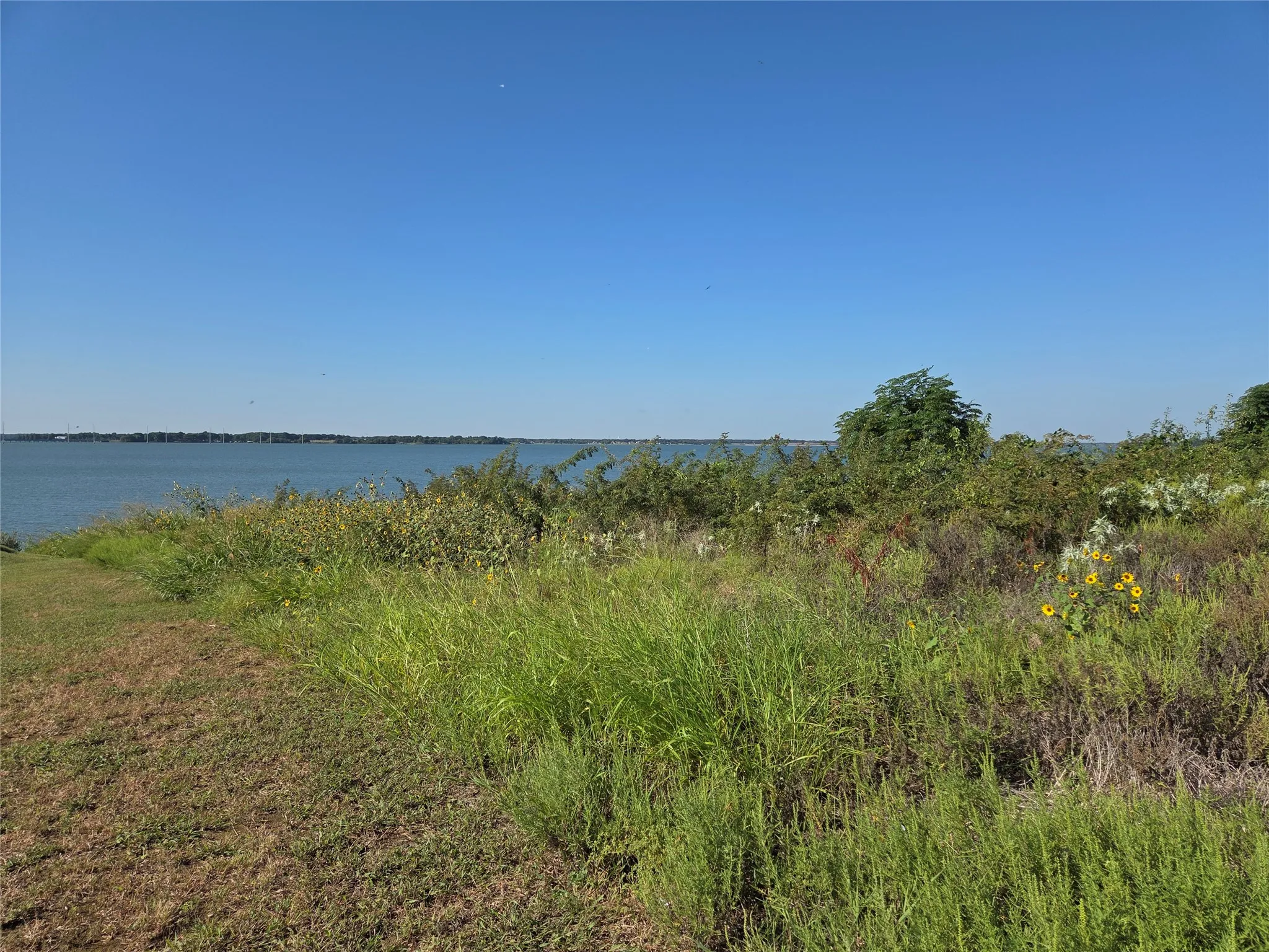 Unimproved Land For Sale in Navarro County , Lot 7 with BS #15 Vista Pointe Drive, Kerens, Texas 75109, 0, 0, Garage spaces, 0 Sqft, built in 0, mls#21068967, Real Estate Agent in Kerens, Homes For Sale in Navarro county, Homes For Sale in Kerens, Realtor in Kerens Texas, Real Estate Brokerage Independent Realty Texas, Luminita Cordes Realtor