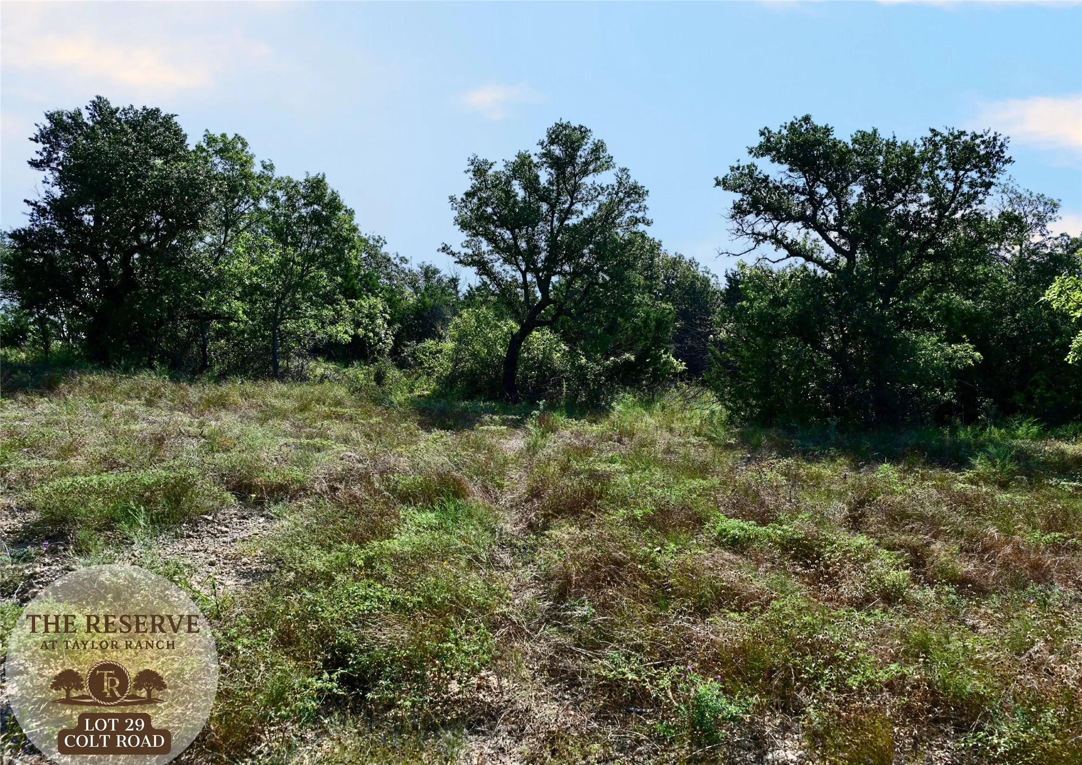 Unimproved Land For Sale in Parker County , Lot 29 Colt- Road, Springtown, Texas 76082, 0, 0, Garage spaces, 0 Sqft, built in 0, Price $111,000, mls#21070673, Real Estate Agent in Springtown, Homes For Sale in Parker county, Homes For Sale in Springtown, Realtor in Springtown Texas, Real Estate Brokerage Independent Realty Texas, Luminita Cordes Realtor