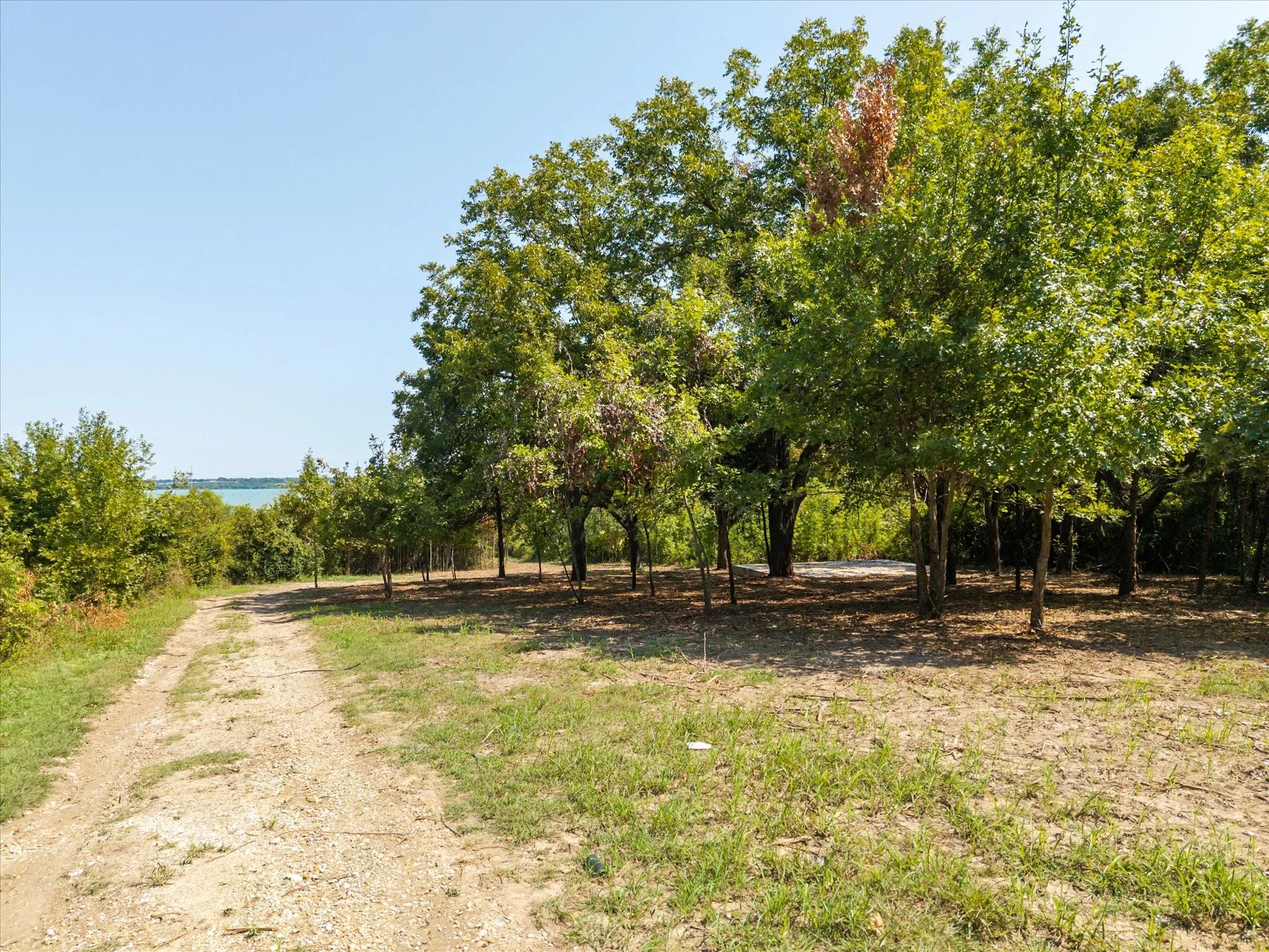 Cleared road towards lake