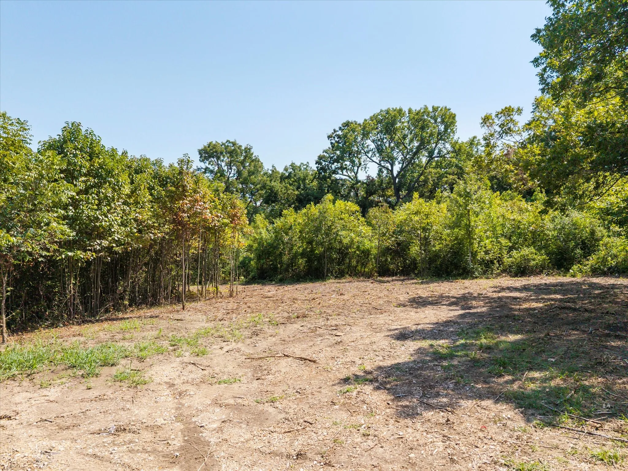 View of tree filled area