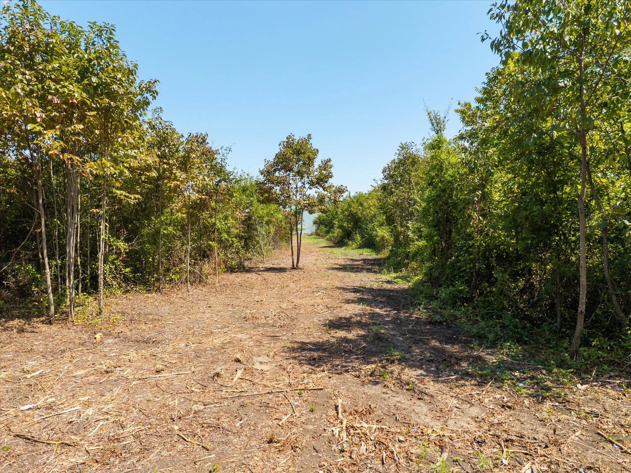 View of local wilderness