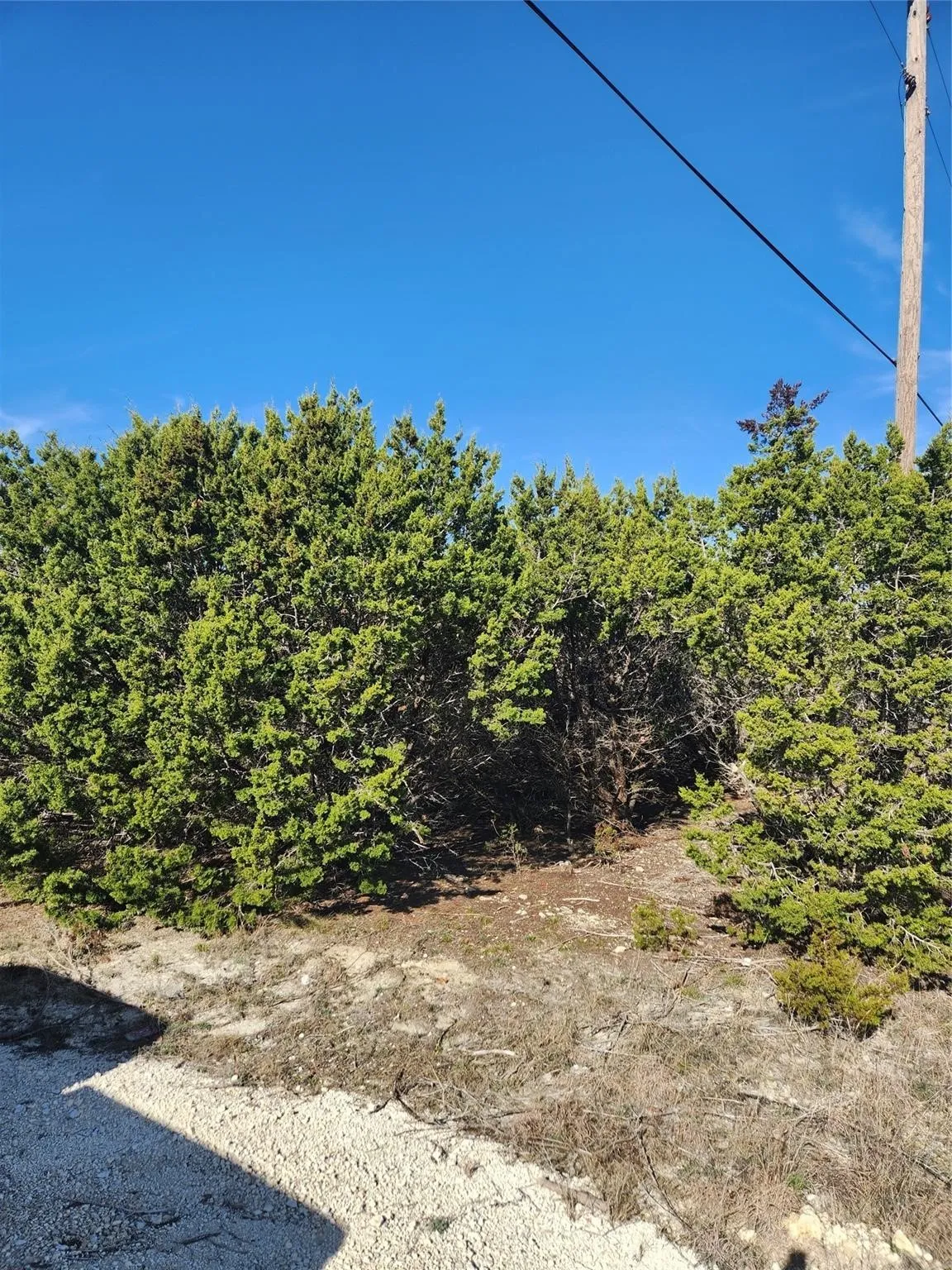 Unimproved Land For Sale in Johnson County , 1005 Overhill Drive, Cleburne, Texas 76033, 0, 0, Garage spaces, 0 Sqft, built in 0, mls#21070798, Real Estate Agent in Cleburne, Homes For Sale in Johnson county, Homes For Sale in Cleburne, Realtor in Cleburne Texas, Real Estate Brokerage Independent Realty Texas, Luminita Cordes Realtor