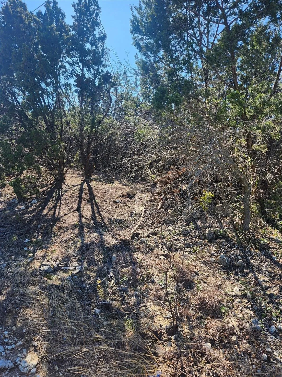 Unimproved Land For Sale in Johnson County , 1005 Overhill Drive, Cleburne, Texas 76033, 0, 0, Garage spaces, 0 Sqft, built in 0, mls#21070798, Real Estate Agent in Cleburne, Homes For Sale in Johnson county, Homes For Sale in Cleburne, Realtor in Cleburne Texas, Real Estate Brokerage Independent Realty Texas, Luminita Cordes Realtor