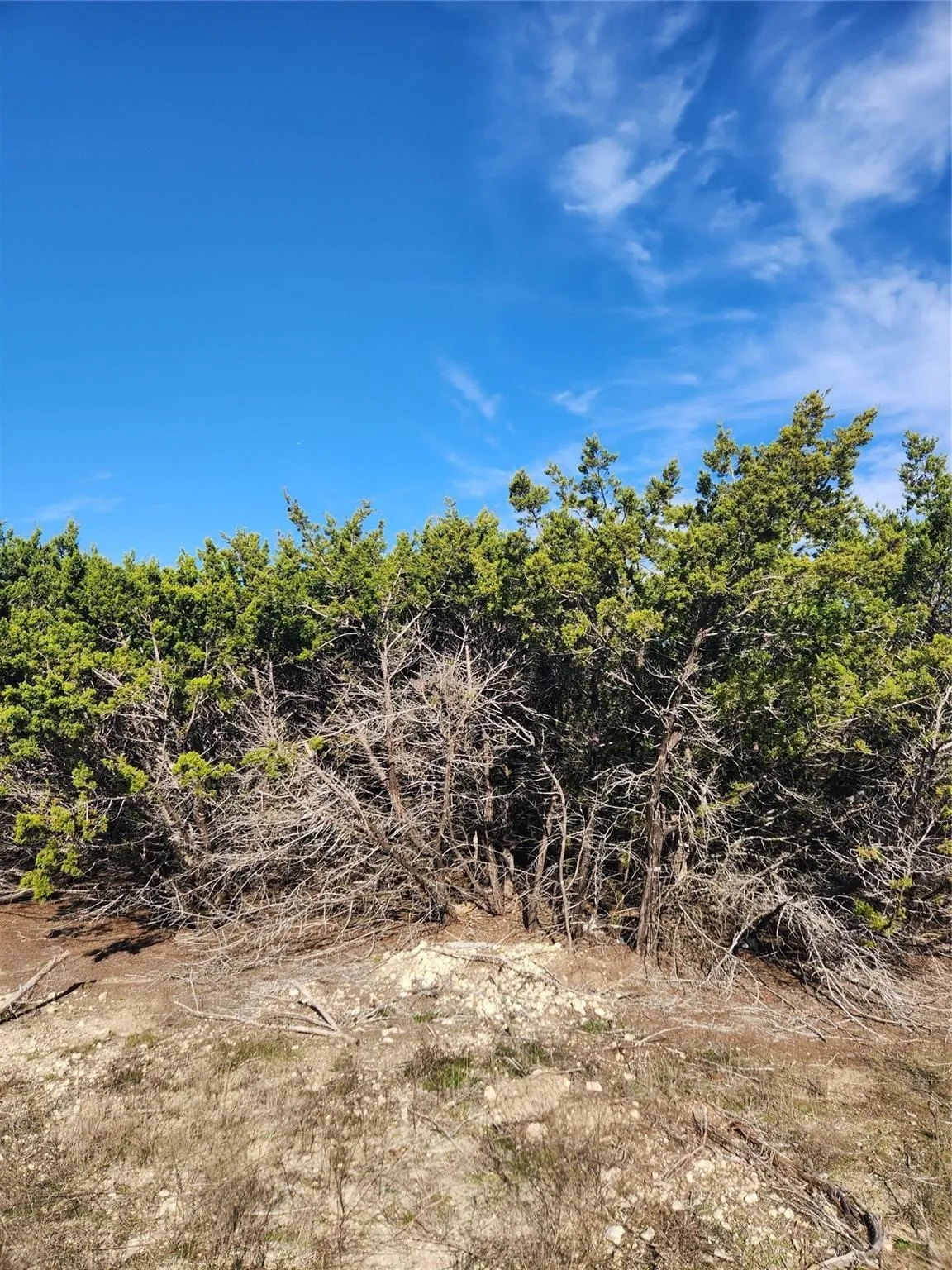 Unimproved Land For Sale in Johnson County , 1005 Overhill Drive, Cleburne, Texas 76033, 0, 0, Garage spaces, 0 Sqft, built in 0, mls#21070798, Real Estate Agent in Cleburne, Homes For Sale in Johnson county, Homes For Sale in Cleburne, Realtor in Cleburne Texas, Real Estate Brokerage Independent Realty Texas, Luminita Cordes Realtor