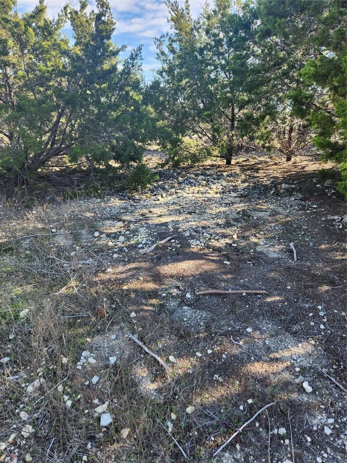 Unimproved Land For Sale in Johnson County , 1005 Overhill Drive, Cleburne, Texas 76033, 0, 0, Garage spaces, 0 Sqft, built in 0, mls#21070798, Real Estate Agent in Cleburne, Homes For Sale in Johnson county, Homes For Sale in Cleburne, Realtor in Cleburne Texas, Real Estate Brokerage Independent Realty Texas, Luminita Cordes Realtor