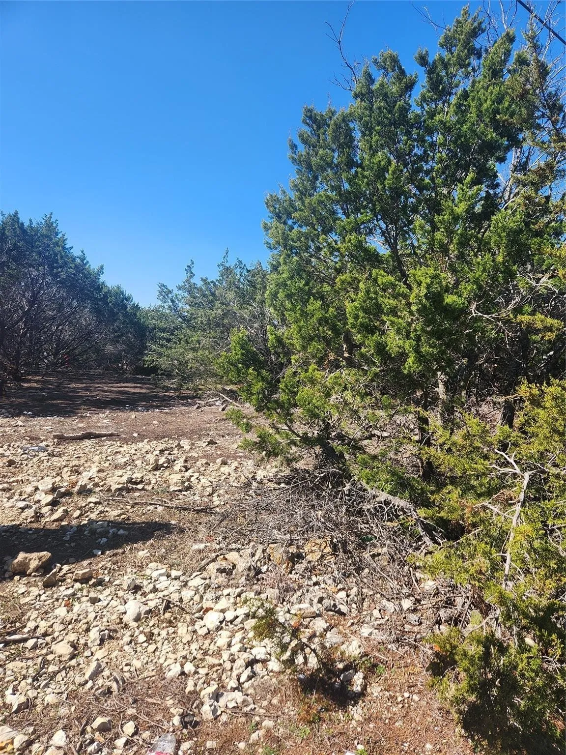 Unimproved Land For Sale in Johnson County , 1005 Overhill Drive, Cleburne, Texas 76033, 0, 0, Garage spaces, 0 Sqft, built in 0, mls#21070798, Real Estate Agent in Cleburne, Homes For Sale in Johnson county, Homes For Sale in Cleburne, Realtor in Cleburne Texas, Real Estate Brokerage Independent Realty Texas, Luminita Cordes Realtor