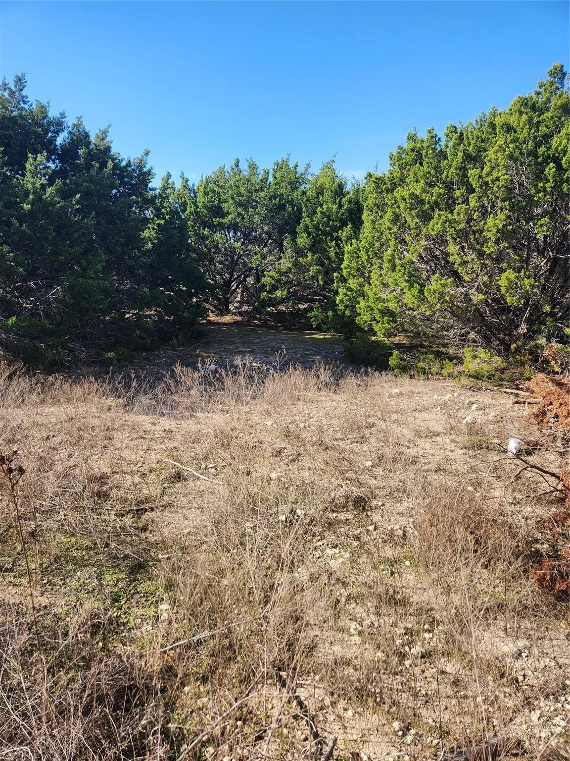 Unimproved Land For Sale in Johnson County , 1005 Overhill Drive, Cleburne, Texas 76033, 0, 0, Garage spaces, 0 Sqft, built in 0, mls#21070798, Real Estate Agent in Cleburne, Homes For Sale in Johnson county, Homes For Sale in Cleburne, Realtor in Cleburne Texas, Real Estate Brokerage Independent Realty Texas, Luminita Cordes Realtor