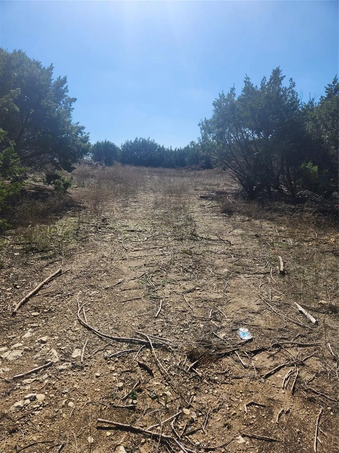 Unimproved Land For Sale in Johnson County , 1005 Overhill Drive, Cleburne, Texas 76033, 0, 0, Garage spaces, 0 Sqft, built in 0, mls#21070798, Real Estate Agent in Cleburne, Homes For Sale in Johnson county, Homes For Sale in Cleburne, Realtor in Cleburne Texas, Real Estate Brokerage Independent Realty Texas, Luminita Cordes Realtor
