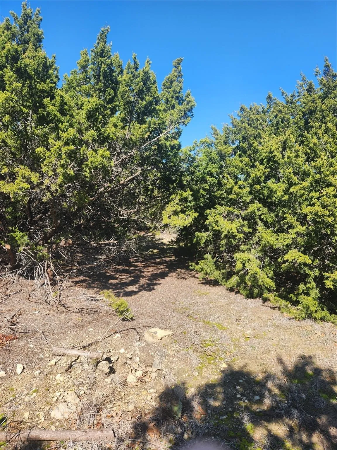 Unimproved Land For Sale in Johnson County , 1005 Overhill Drive, Cleburne, Texas 76033, 0, 0, Garage spaces, 0 Sqft, built in 0, mls#21070798, Real Estate Agent in Cleburne, Homes For Sale in Johnson county, Homes For Sale in Cleburne, Realtor in Cleburne Texas, Real Estate Brokerage Independent Realty Texas, Luminita Cordes Realtor