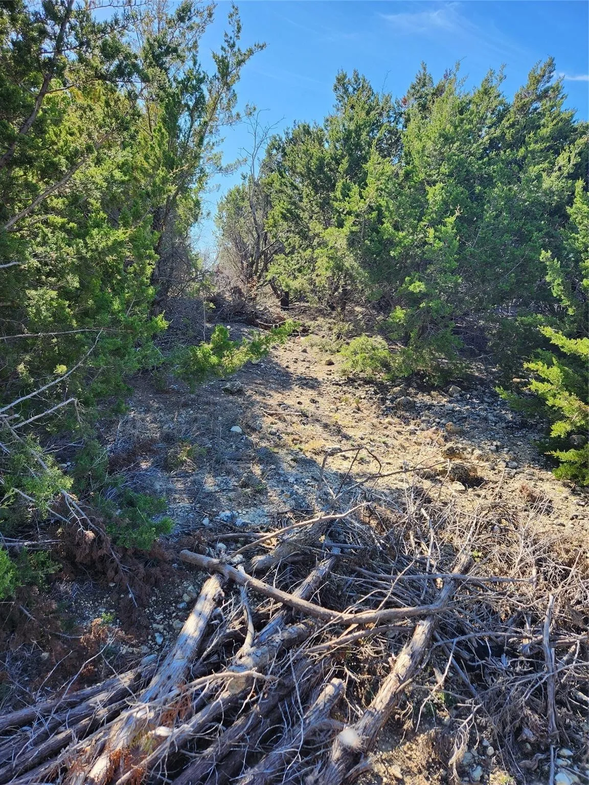 Unimproved Land For Sale in Johnson County , 1005 Overhill Drive, Cleburne, Texas 76033, 0, 0, Garage spaces, 0 Sqft, built in 0, mls#21070798, Real Estate Agent in Cleburne, Homes For Sale in Johnson county, Homes For Sale in Cleburne, Realtor in Cleburne Texas, Real Estate Brokerage Independent Realty Texas, Luminita Cordes Realtor