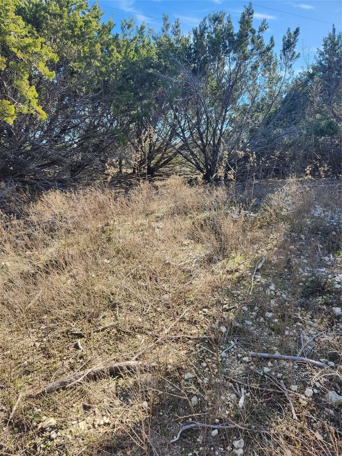 Unimproved Land For Sale in Johnson County , 1005 Overhill Drive, Cleburne, Texas 76033, 0, 0, Garage spaces, 0 Sqft, built in 0, mls#21070798, Real Estate Agent in Cleburne, Homes For Sale in Johnson county, Homes For Sale in Cleburne, Realtor in Cleburne Texas, Real Estate Brokerage Independent Realty Texas, Luminita Cordes Realtor