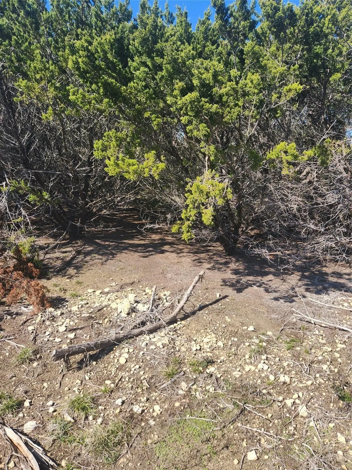 Unimproved Land For Sale in Johnson County , 1005 Overhill Drive, Cleburne, Texas 76033, 0, 0, Garage spaces, 0 Sqft, built in 0, mls#21070798, Real Estate Agent in Cleburne, Homes For Sale in Johnson county, Homes For Sale in Cleburne, Realtor in Cleburne Texas, Real Estate Brokerage Independent Realty Texas, Luminita Cordes Realtor