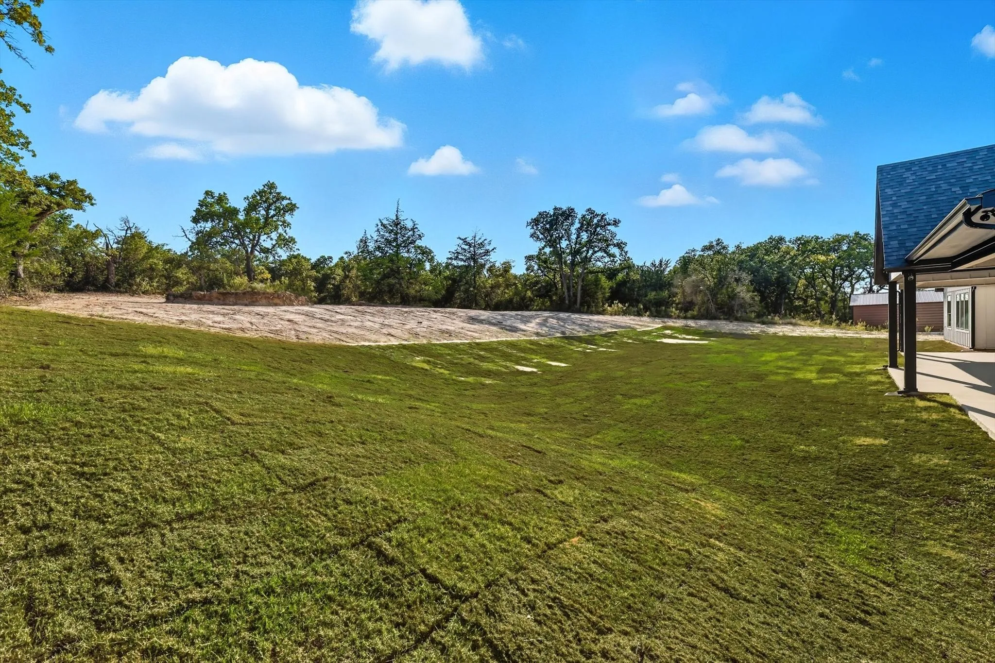 View of grassy yard
