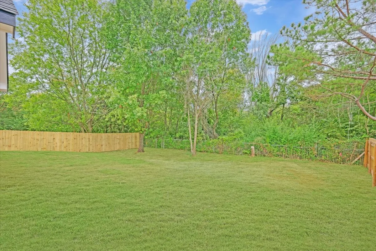 View of fenced backyard