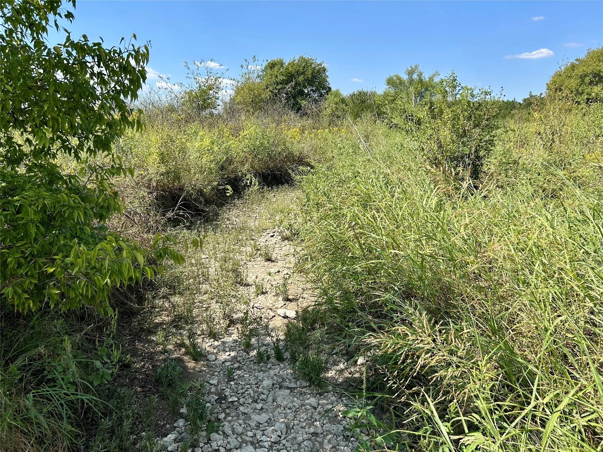View of nature