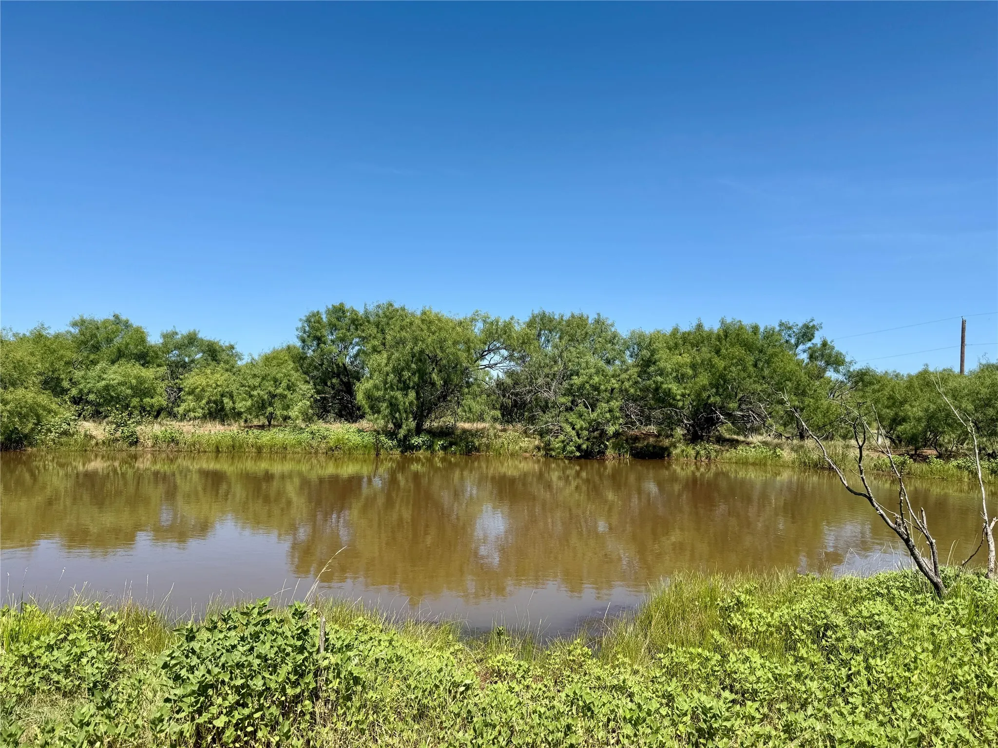 Unimproved Land For Sale in Brown County , TBD County Road 121, Cross Plains, Texas 76443, 0, 0, Garage spaces, 0 Sqft, built in 0, mls#21071877, Real Estate Agent in Cross Plains, Homes For Sale in Brown county, Homes For Sale in Cross Plains, Realtor in Cross Plains Texas, Real Estate Brokerage Independent Realty Texas, Luminita Cordes Realtor