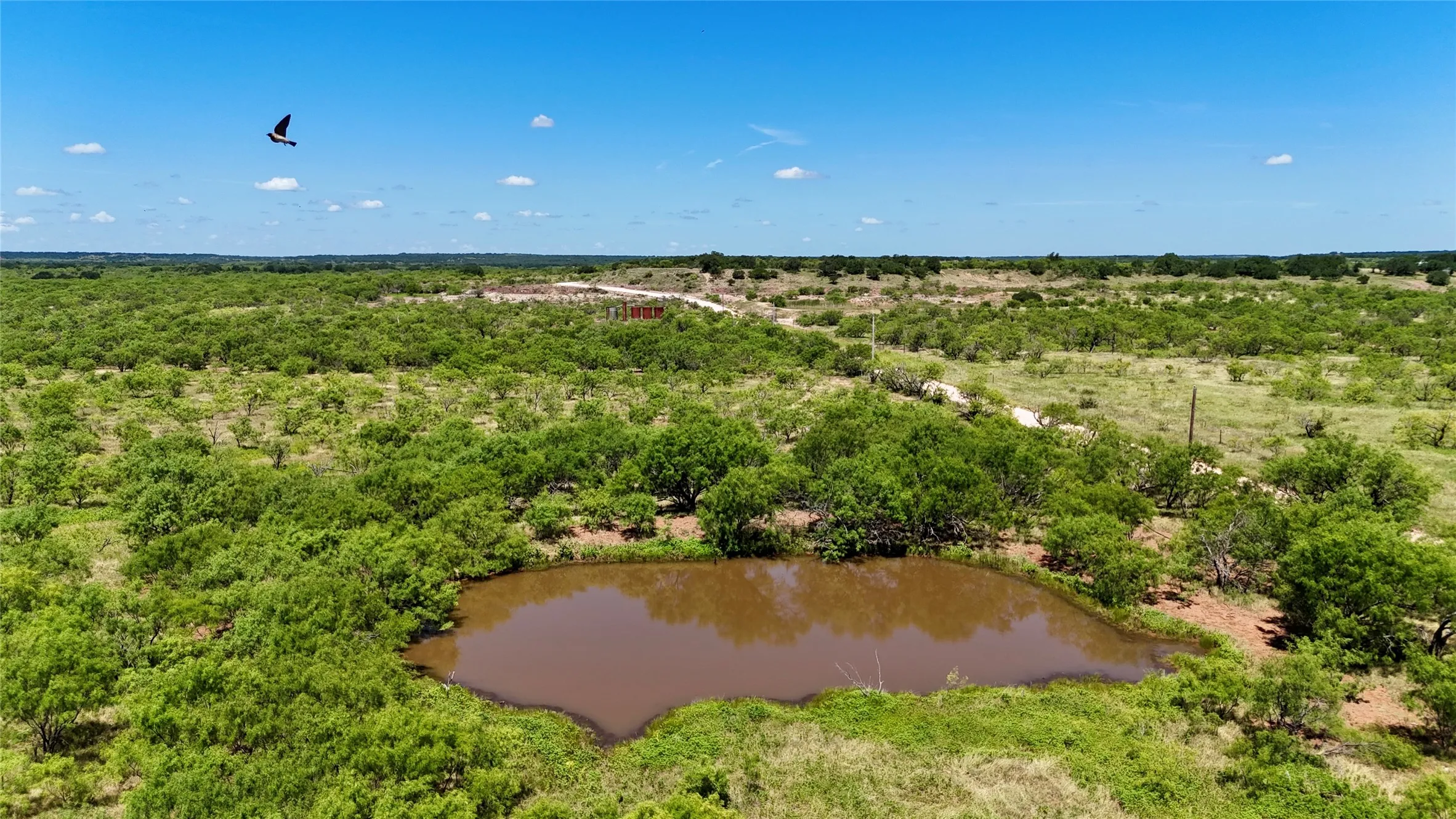 Unimproved Land For Sale in Brown County , TBD County Road 121, Cross Plains, Texas 76443, 0, 0, Garage spaces, 0 Sqft, built in 0, mls#21071877, Real Estate Agent in Cross Plains, Homes For Sale in Brown county, Homes For Sale in Cross Plains, Realtor in Cross Plains Texas, Real Estate Brokerage Independent Realty Texas, Luminita Cordes Realtor