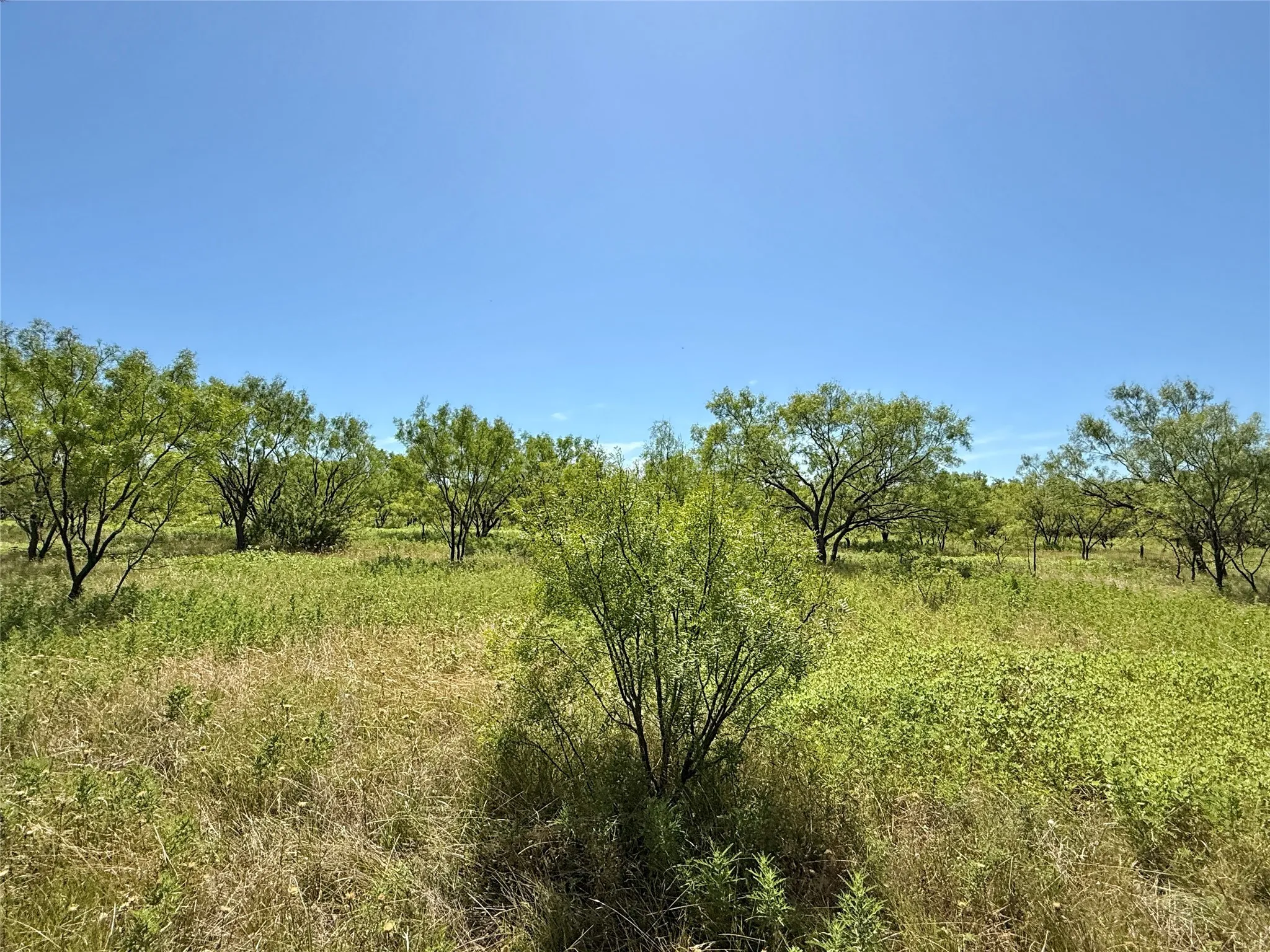 Unimproved Land For Sale in Brown County , TBD County Road 121, Cross Plains, Texas 76443, 0, 0, Garage spaces, 0 Sqft, built in 0, mls#21071877, Real Estate Agent in Cross Plains, Homes For Sale in Brown county, Homes For Sale in Cross Plains, Realtor in Cross Plains Texas, Real Estate Brokerage Independent Realty Texas, Luminita Cordes Realtor