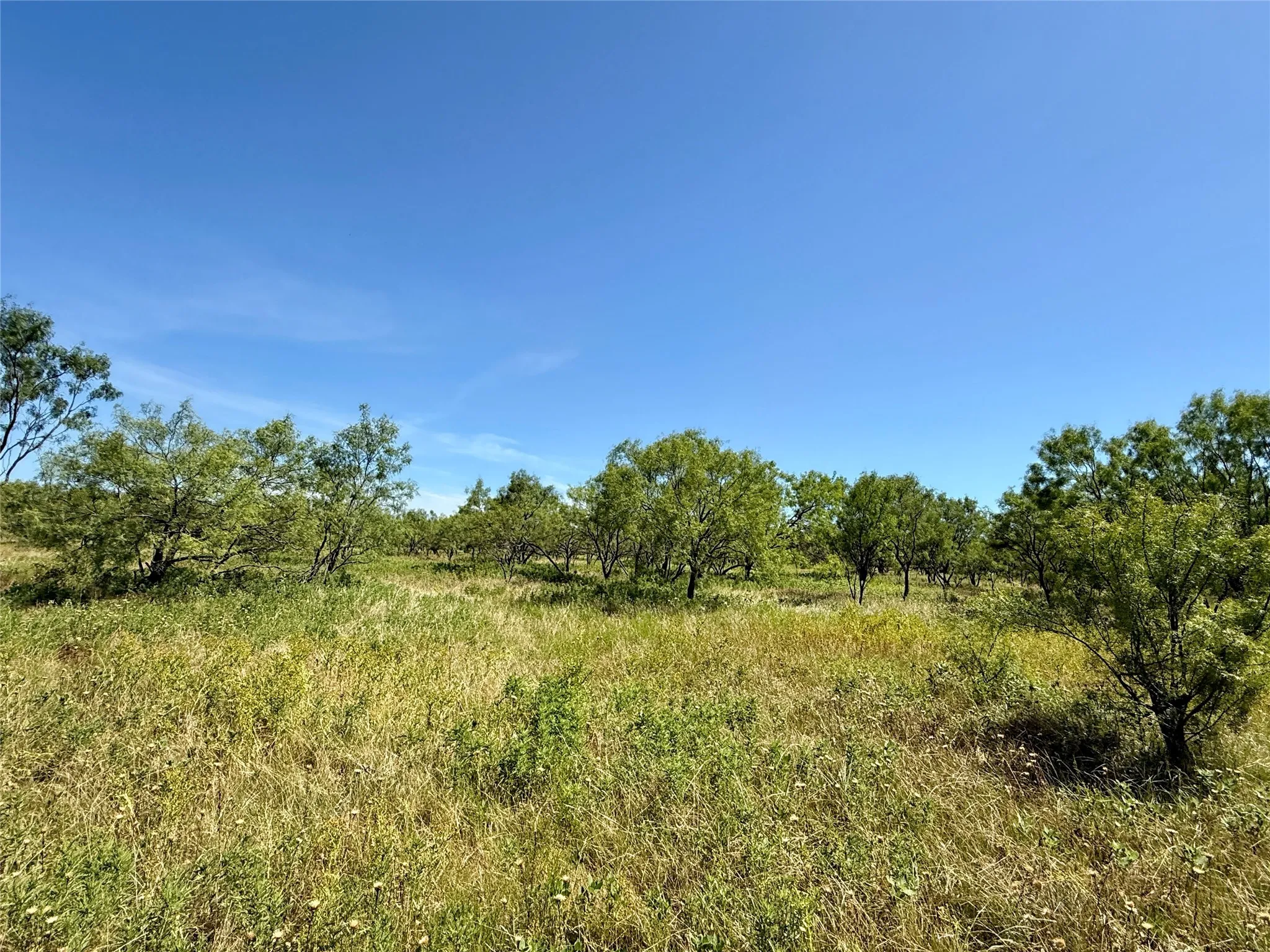 Unimproved Land For Sale in Brown County , TBD County Road 121, Cross Plains, Texas 76443, 0, 0, Garage spaces, 0 Sqft, built in 0, mls#21071877, Real Estate Agent in Cross Plains, Homes For Sale in Brown county, Homes For Sale in Cross Plains, Realtor in Cross Plains Texas, Real Estate Brokerage Independent Realty Texas, Luminita Cordes Realtor